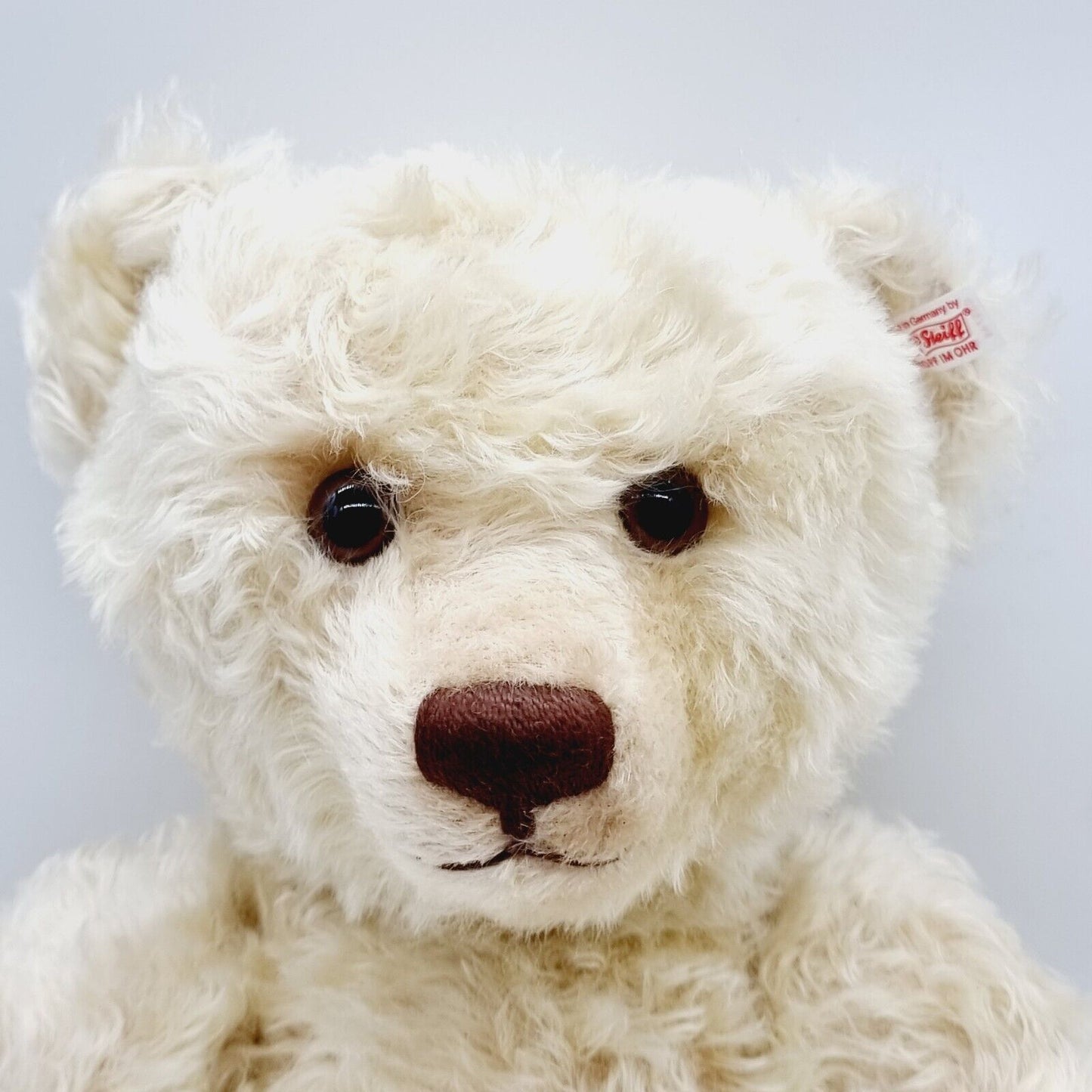 Steiff Teddybär Sunny 035746 limitiert 1000 aus 2012 60cm Mohair