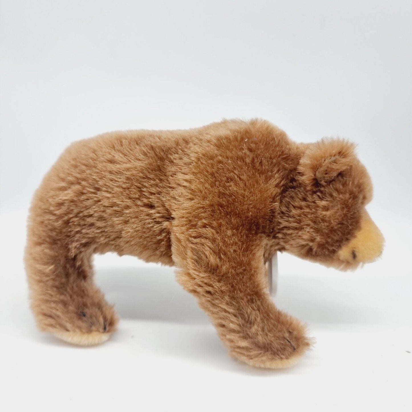 Steiff 420252 Brummbär 17 cm Club Edition 2001 24 cm limitiert