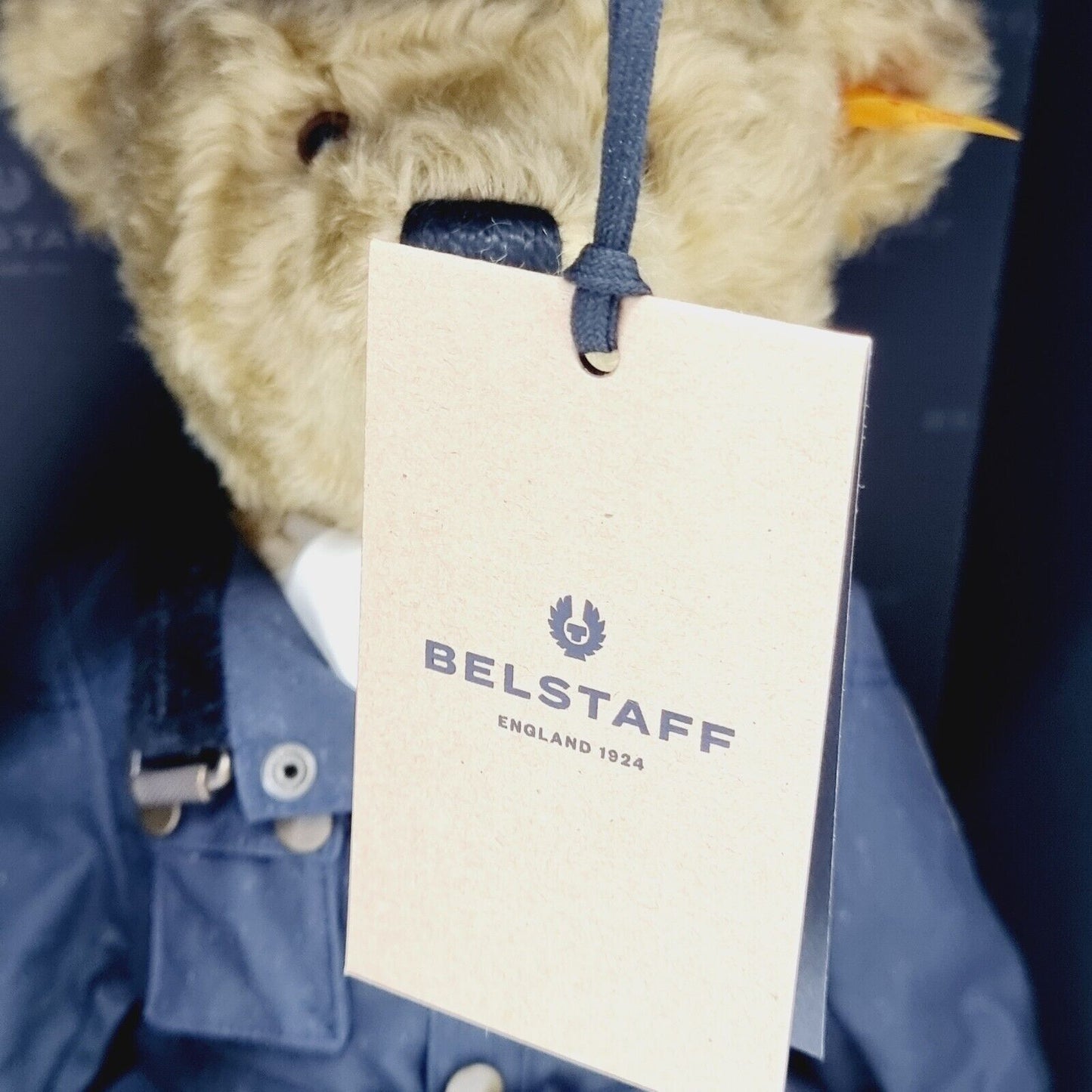 Steiff Belstaff Trialmaster 690679 Teddybär mit Mantel 35 cm Mohair Knopf Fahne