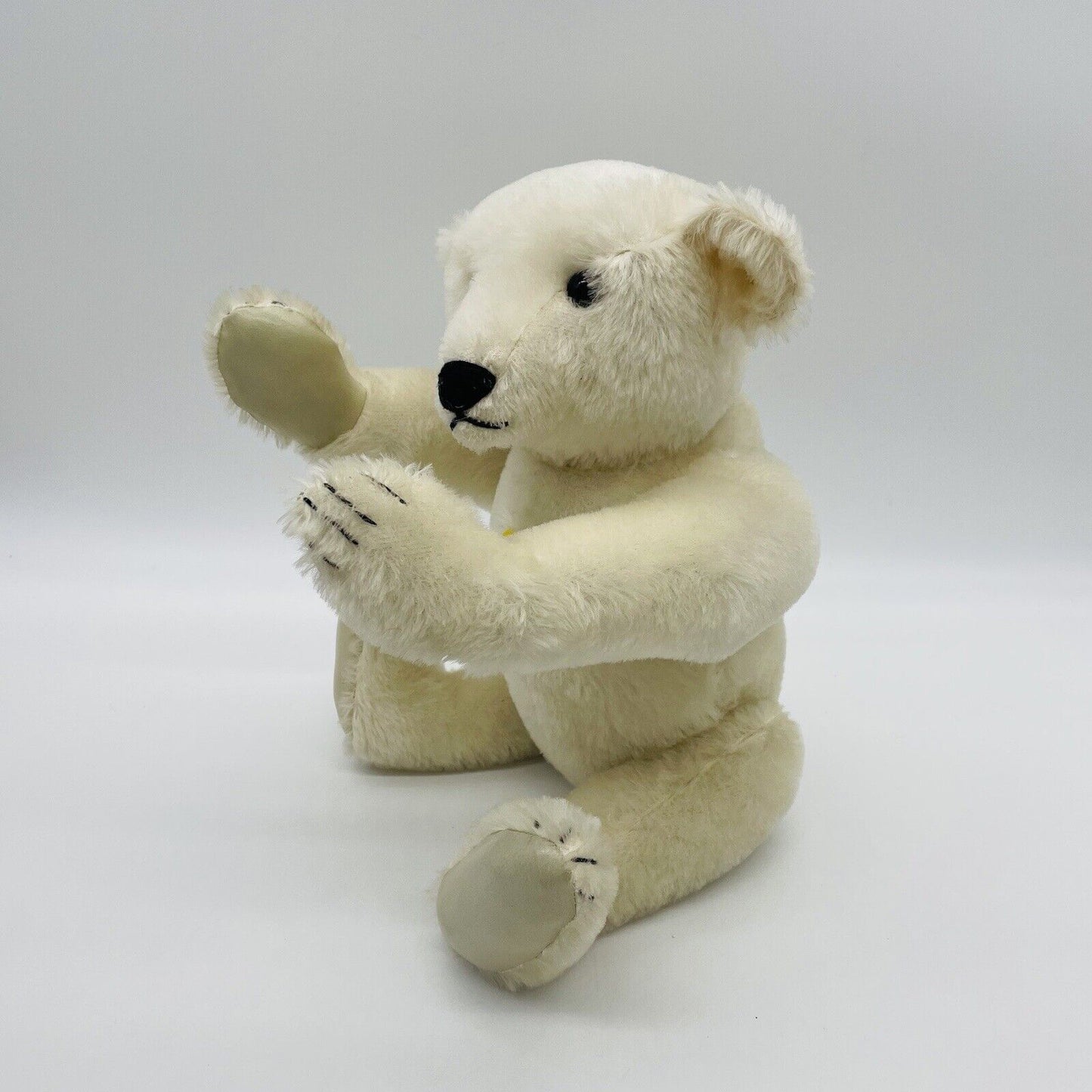 Steiff Set bestehend aus zwei Eisbären Mohair mit Brustschild ohne Fahne