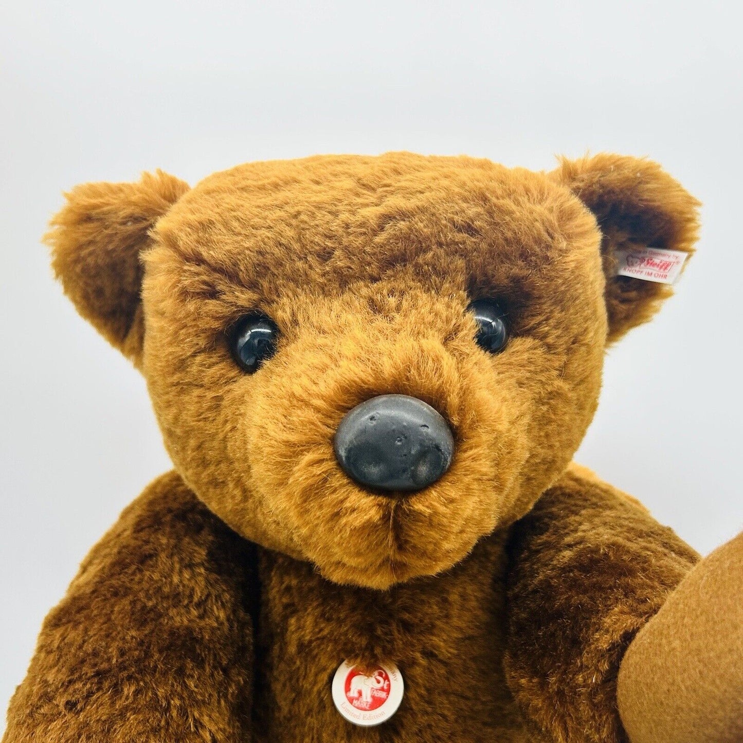 Nr. 101! Steiff Danbury Mint 663123 Teddybär PB 55 Re-Edition limitiert 1000
