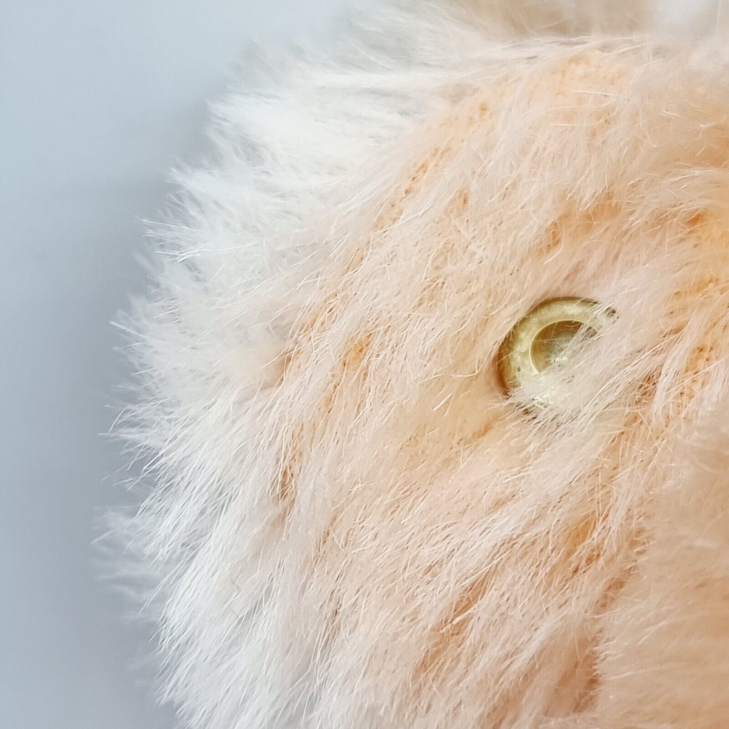 Steiff Teddybär Apricot 38 cm mit Halsband B-Ware mit blankem Knopf