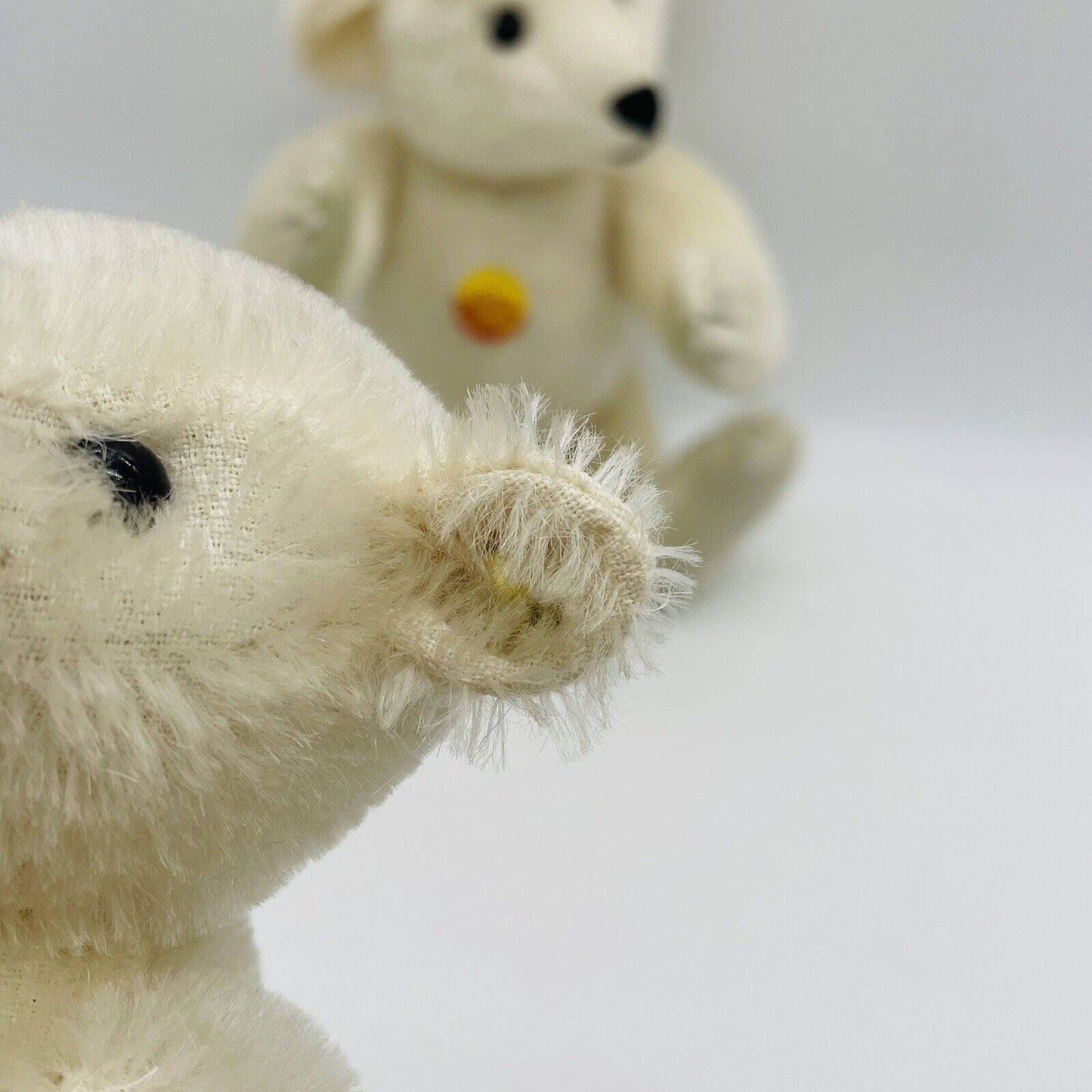 Steiff Set bestehend aus zwei Eisbären Mohair mit Brustschild ohne Fahne