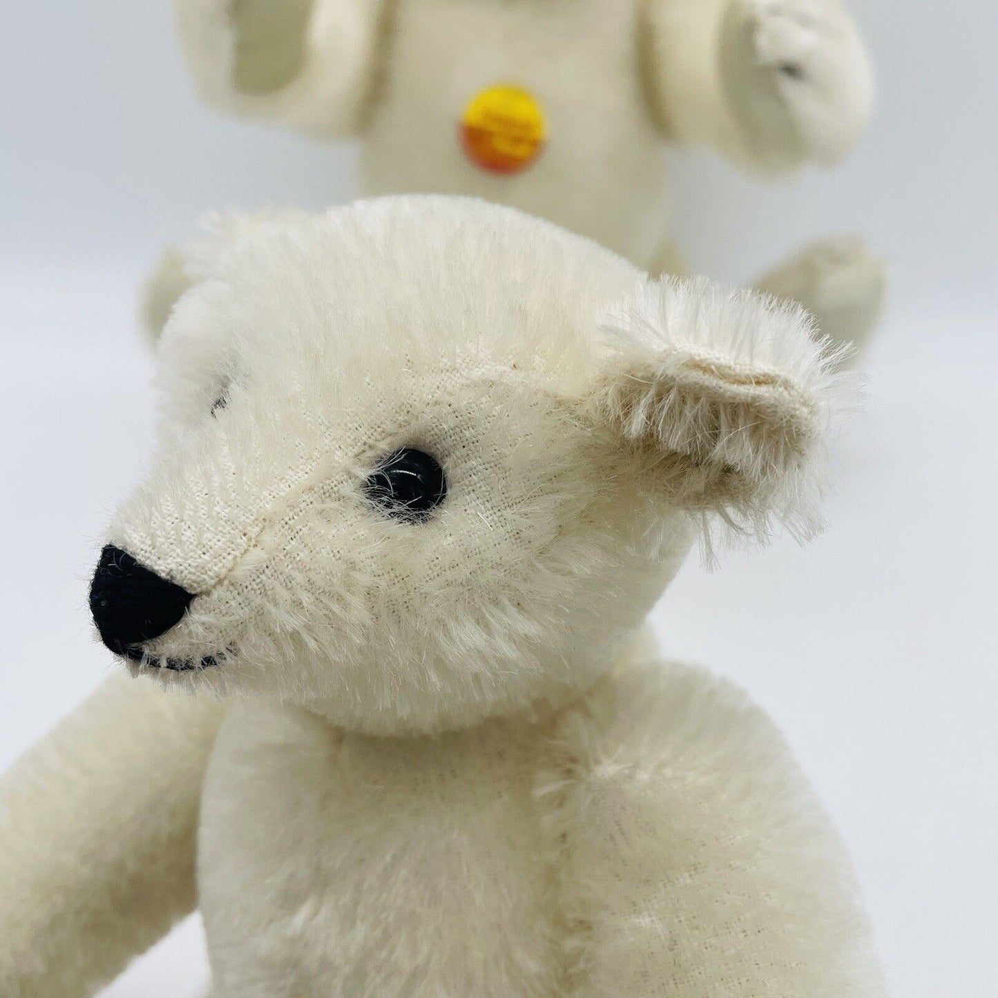 Steiff Set bestehend aus zwei Eisbären Mohair mit Brustschild ohne Fahne