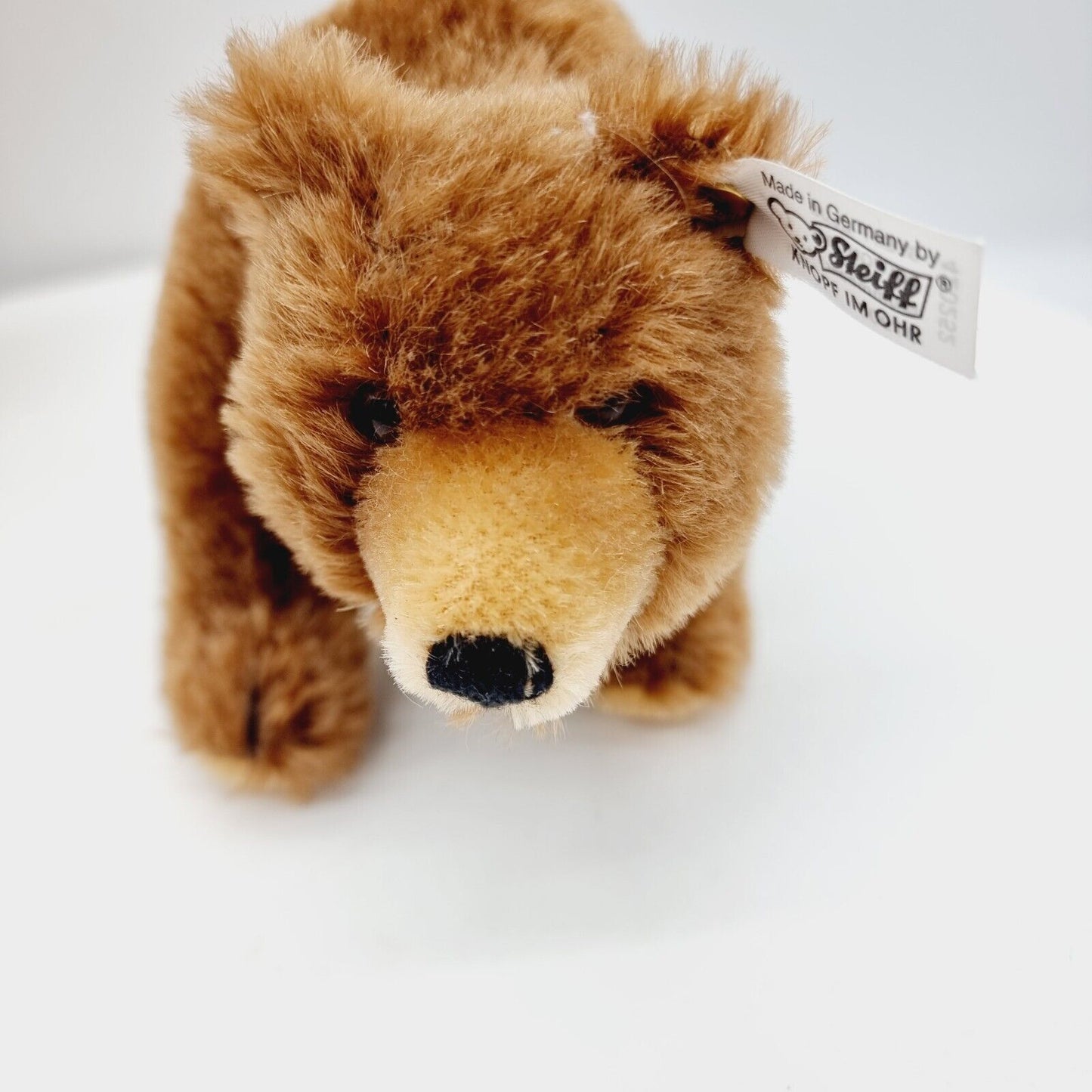 Steiff 420252 Brummbär 1934 Braunbär 17 cm Club Edition 2001 / 2002