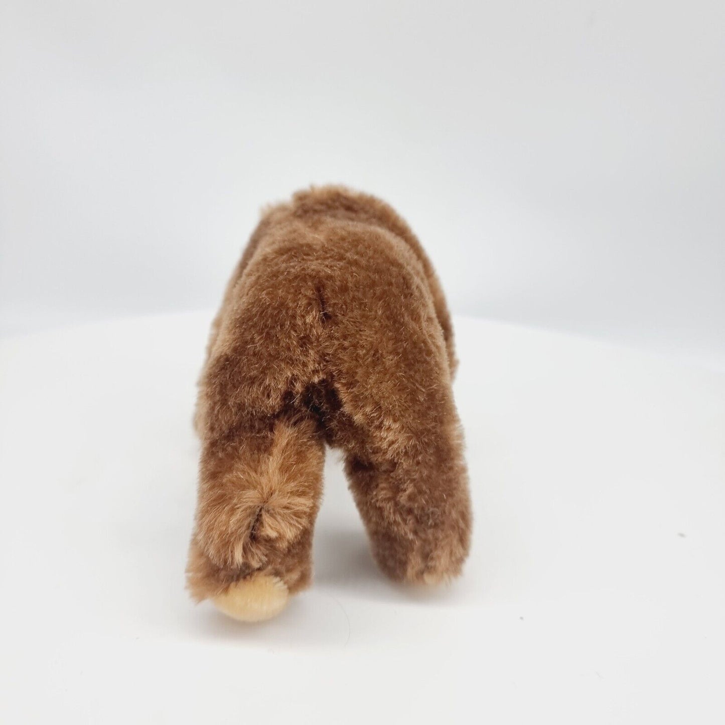 Steiff 420252 Brummbär 17 cm Club Edition 2001 24 cm limitiert