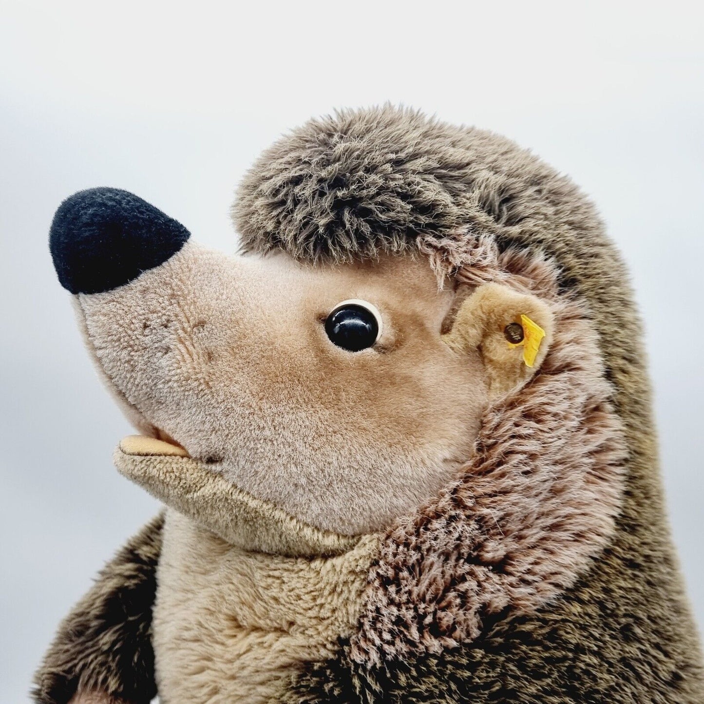Steiff Igel Joggi Studio-Größe 50 cm EAN 1677/50 Webpelz 070778 Knopf Fahne