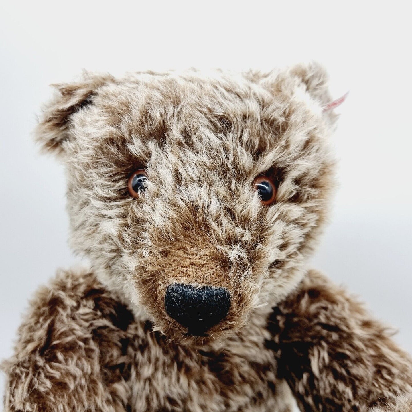 Steiff 667404 Charles Bear Teddybär 60cm limitiert 1928 North American Exklusiv