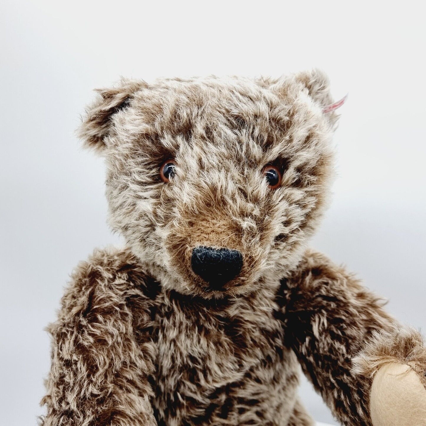 Steiff 667404 Charles Bear Teddybär 60cm limitiert 1928 North American Exklusiv