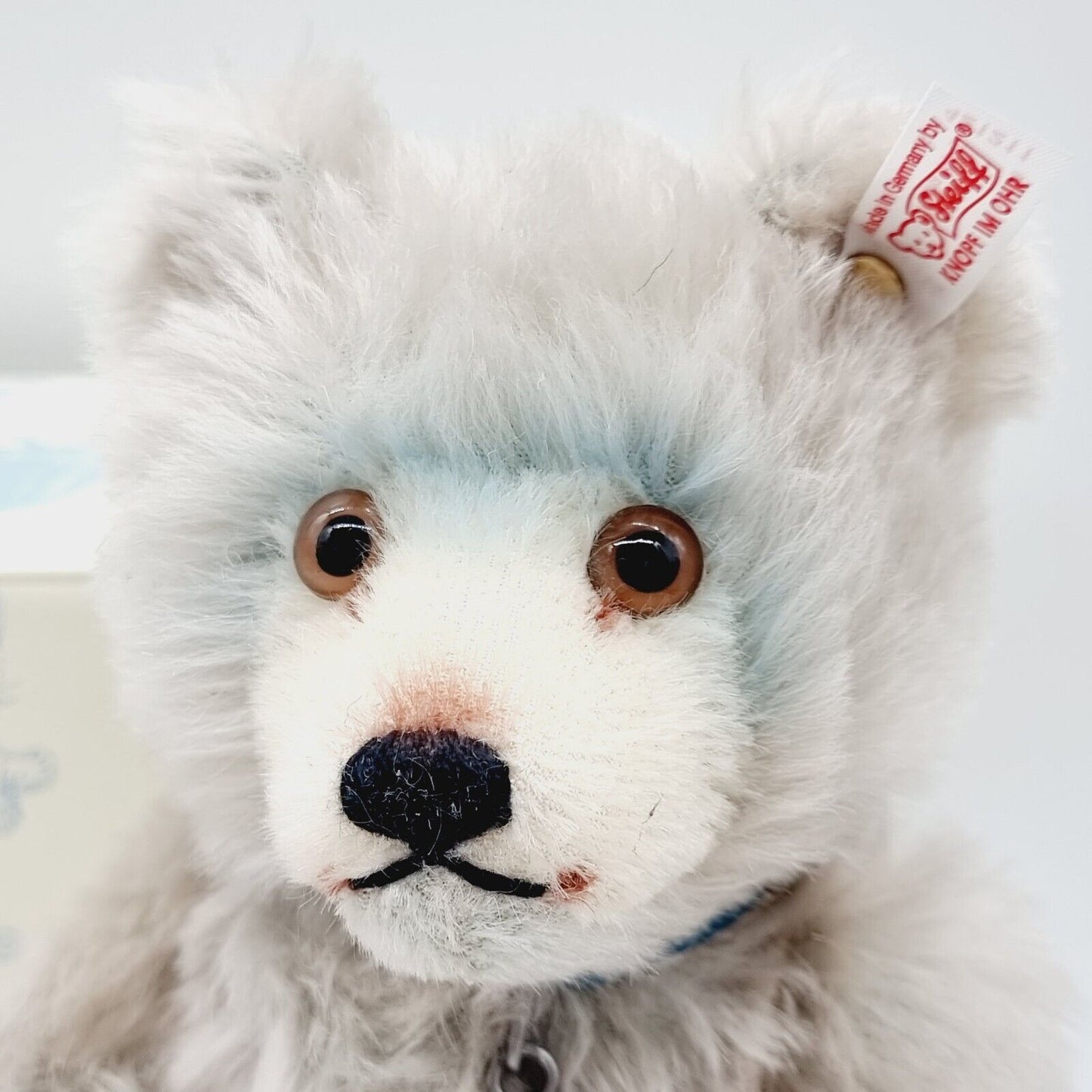 Steiff Tier 421211 Club Mitglied 20 Jahre Bär 25 cm limitierte Auflage Sammler