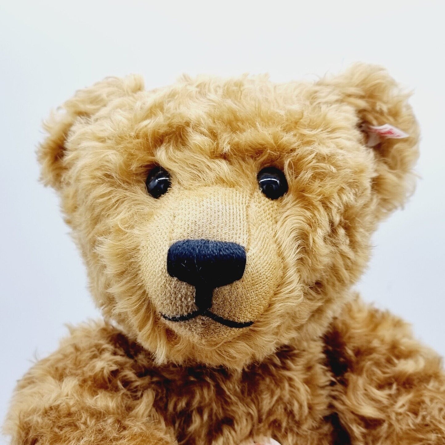 Steiff 034466 Teddybär Dylan limitiert 1000 aus 2014 56 cm Mohair