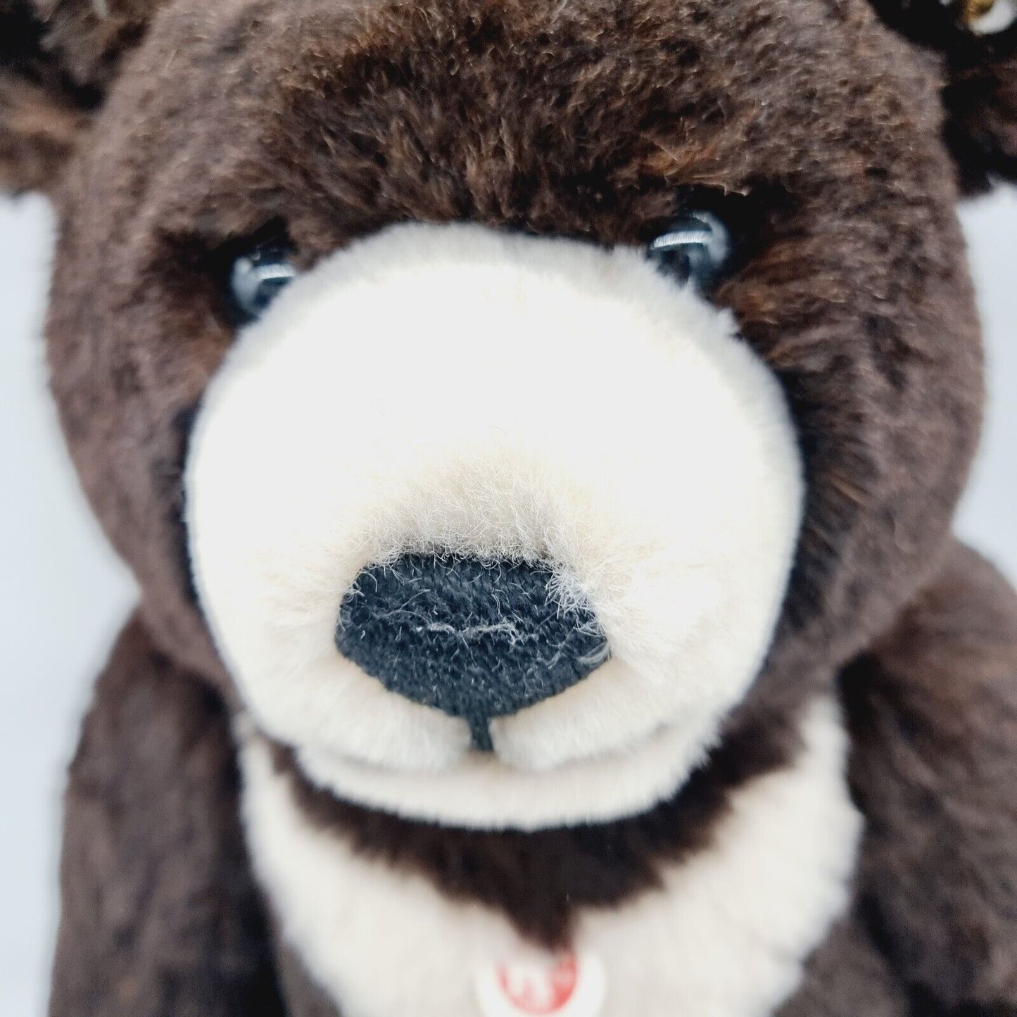 Steiff Teddybär Moon Ted braun 036491 limitiert 1500 60cm Alpaca