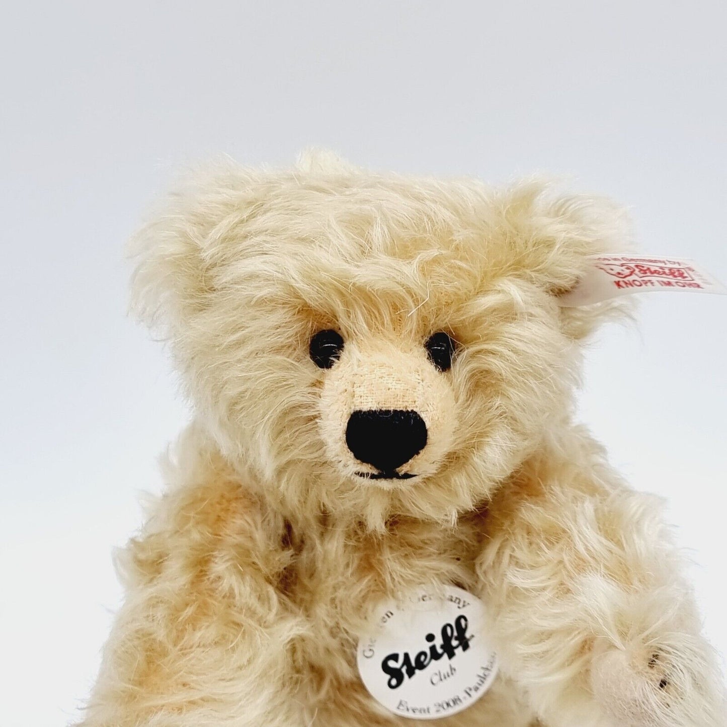 Steiff Event Teddybär Paulchen 420948 limitiert 2008 aus 2008 21cm Mohair