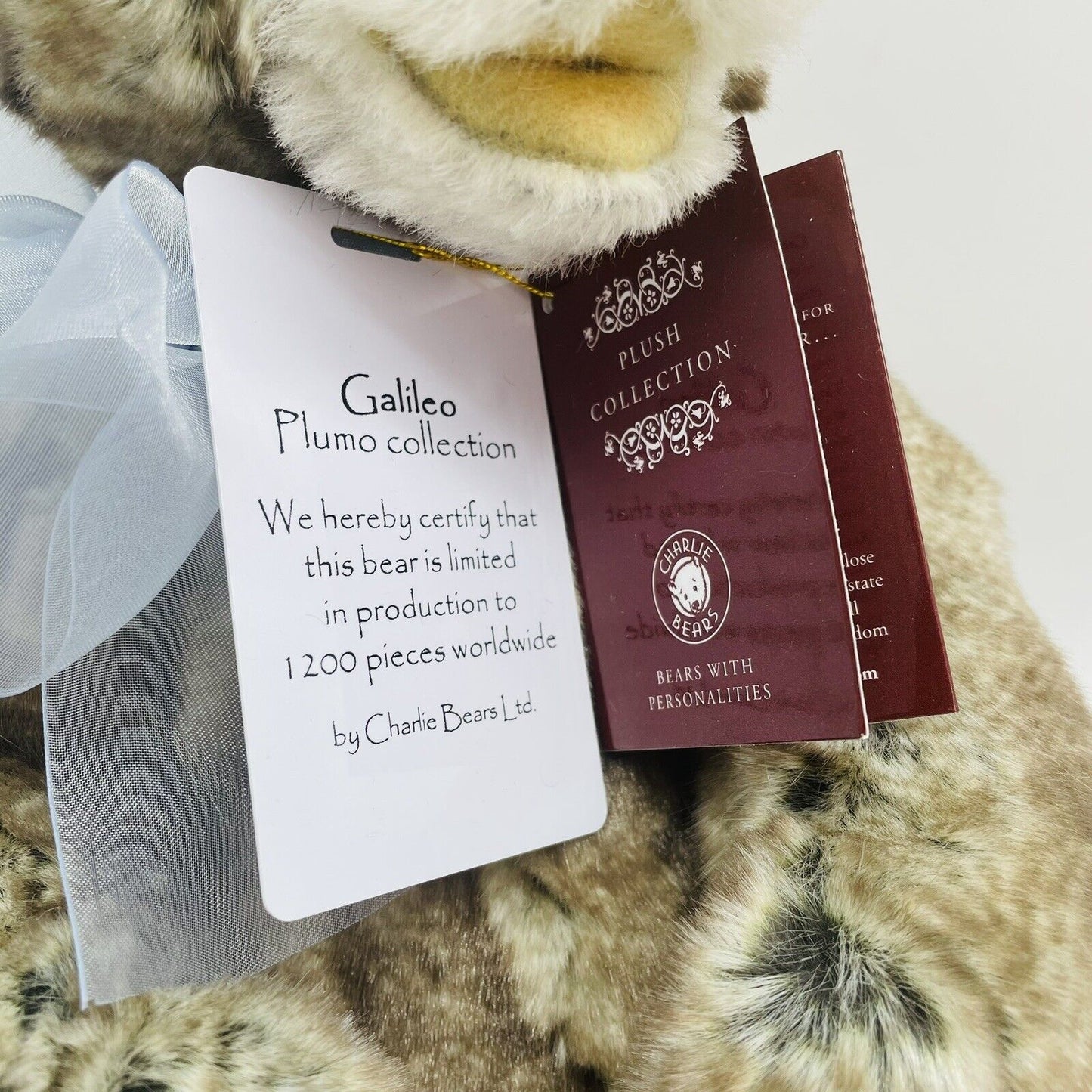 Charlie Bears Teddybär Galileo CB222251B limitiert 1200 36cm Plüsch