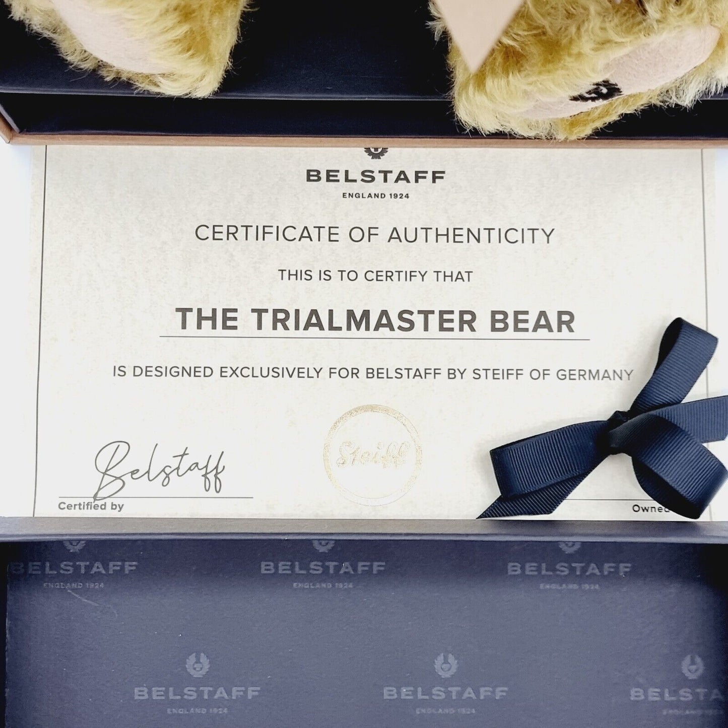 Steiff Belstaff Trialmaster 690679 Teddybär mit Mantel 35 cm Mohair Knopf Fahne