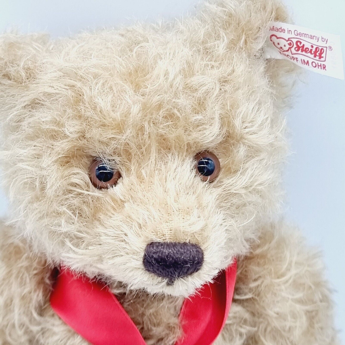 Steiff 038891 Teddybär mit Buch 25 cm 100 Jahre Steiff mit Zertifikat Jahr 2002