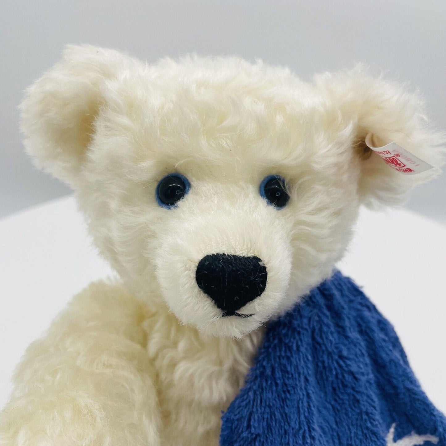 Steiff Teddybär Ocean Bear mit Handtuch 660801 limitiert 1500 30cm Mohair