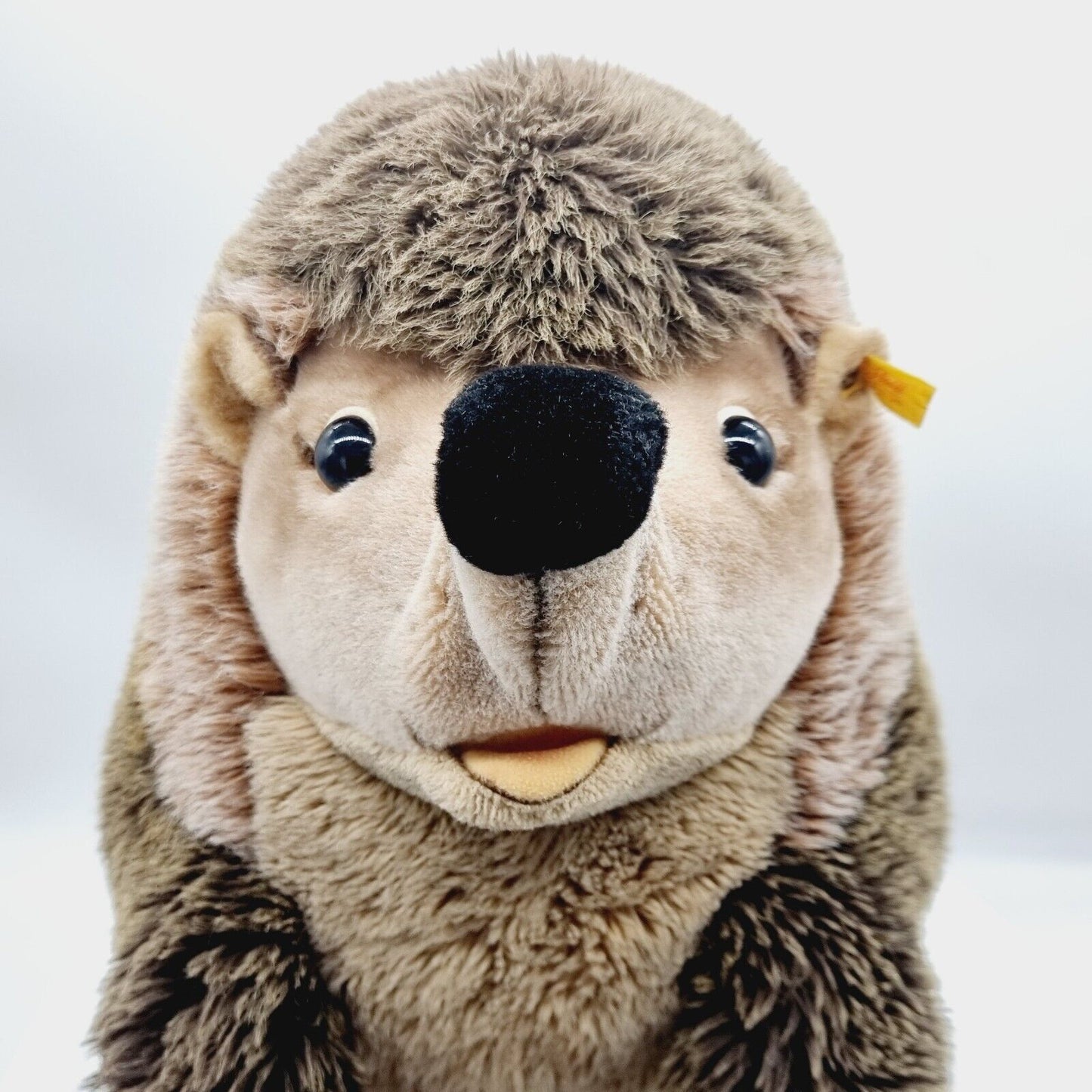 Steiff Igel Joggi Studio-Größe 50 cm EAN 1677/50 Webpelz 070778 Knopf Fahne