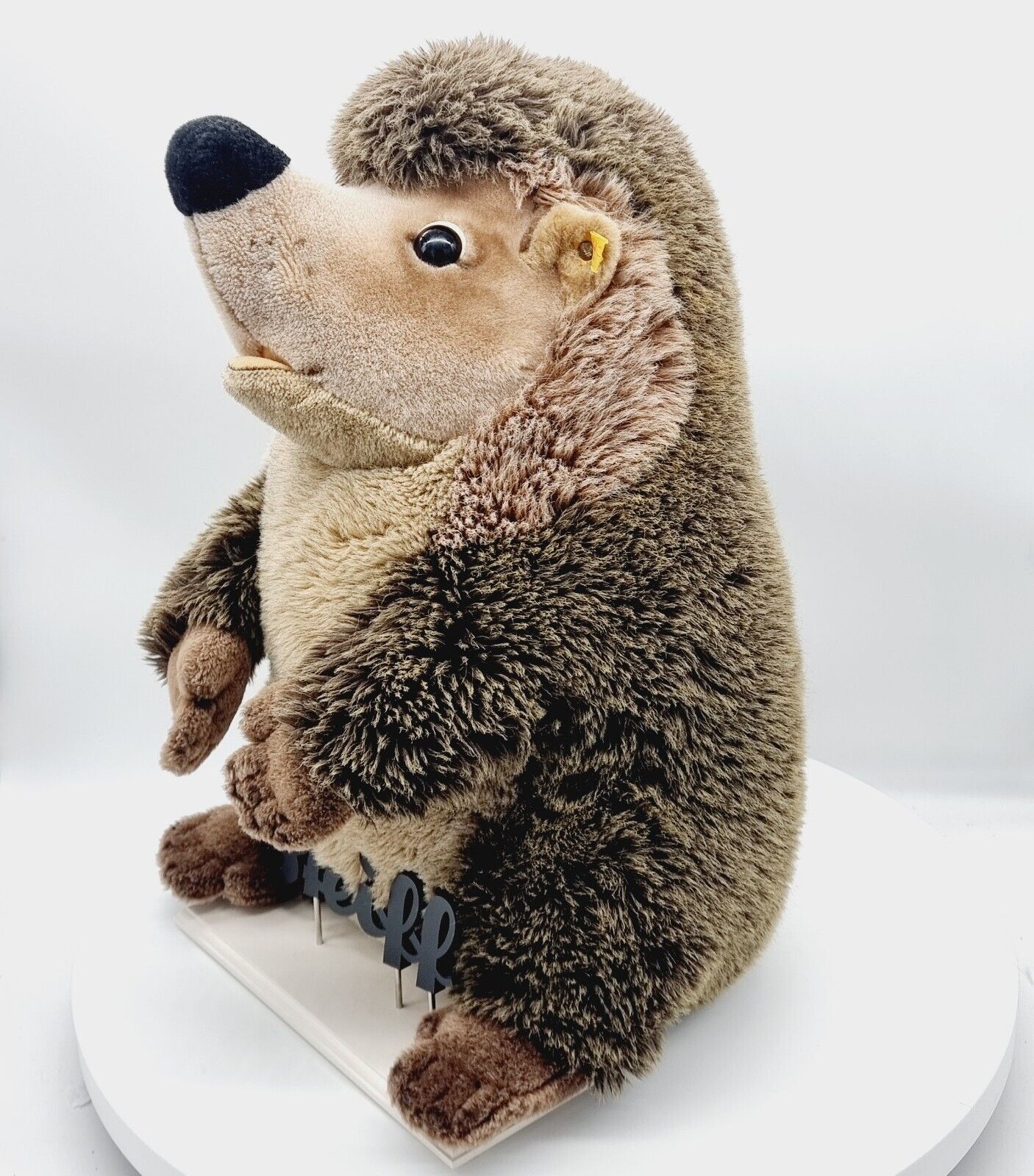 Steiff Igel Joggi Studio-Größe 50 cm EAN 1677/50 Webpelz 070778 Knopf Fahne
