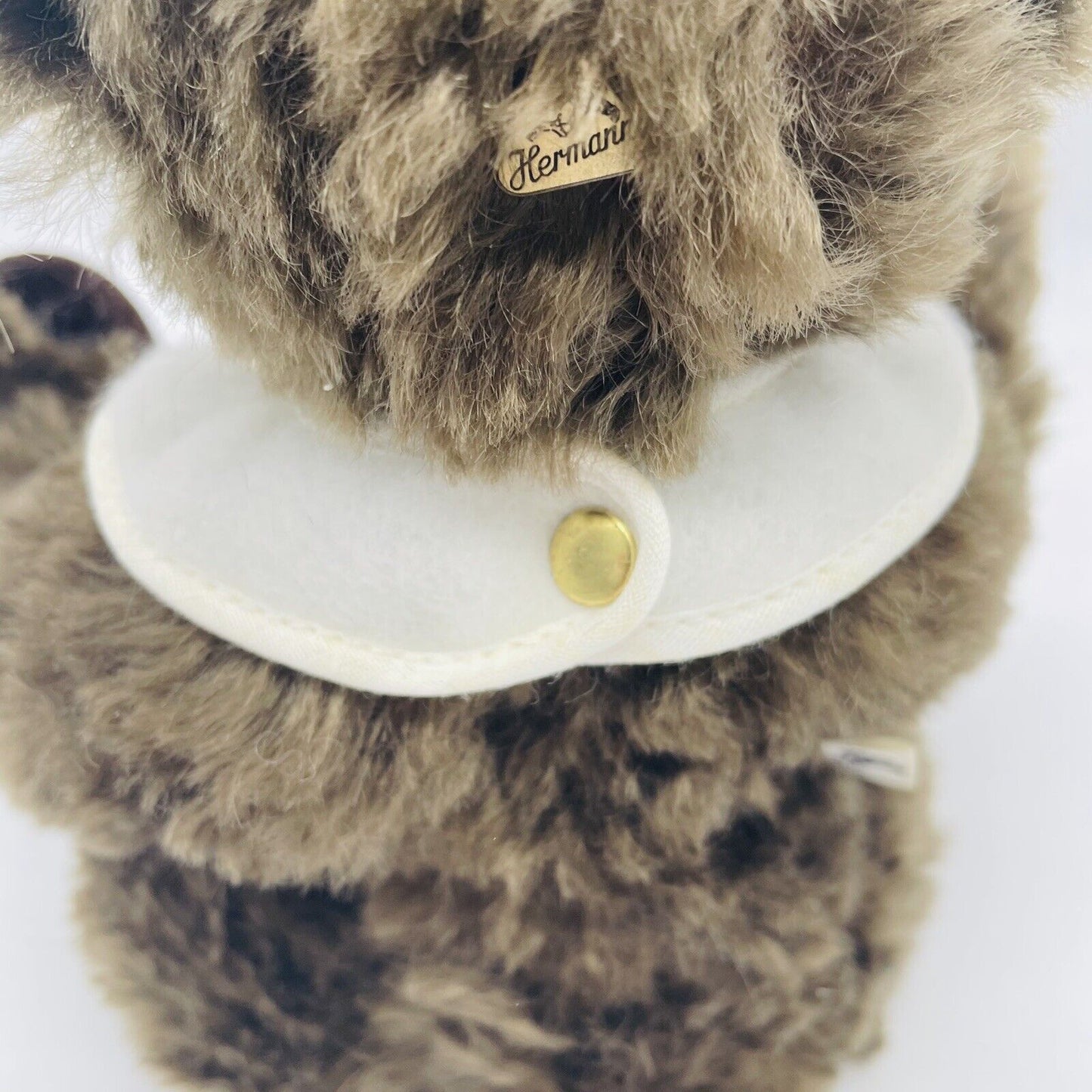 Hermann Coburg Jahrhundertbär 9/20 limitiert auf 100 Mohair
