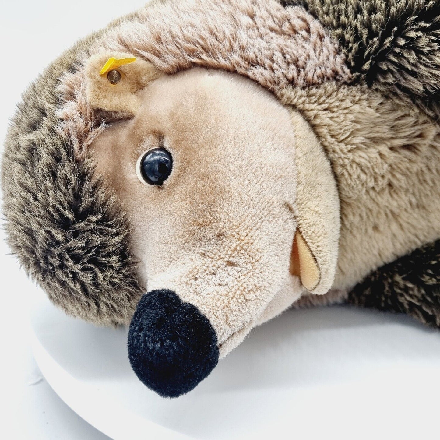 Steiff Igel Joggi Studio-Größe 50 cm EAN 1677/50 Webpelz 070778 Knopf Fahne
