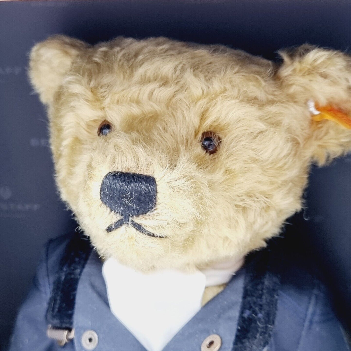Steiff Belstaff Trialmaster 690679 Teddybär mit Mantel 35 cm Mohair Knopf Fahne