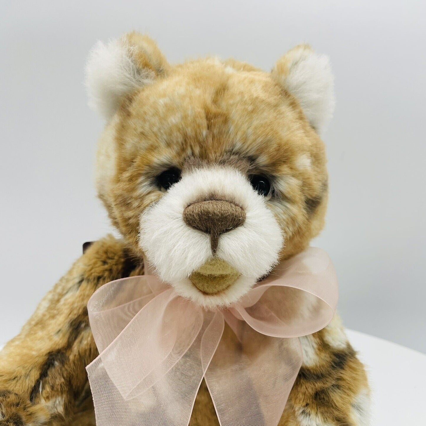 Charlie Bears Plumo Tedddybär Early Bird CB232251A 36cm Plüsch/Alpaca