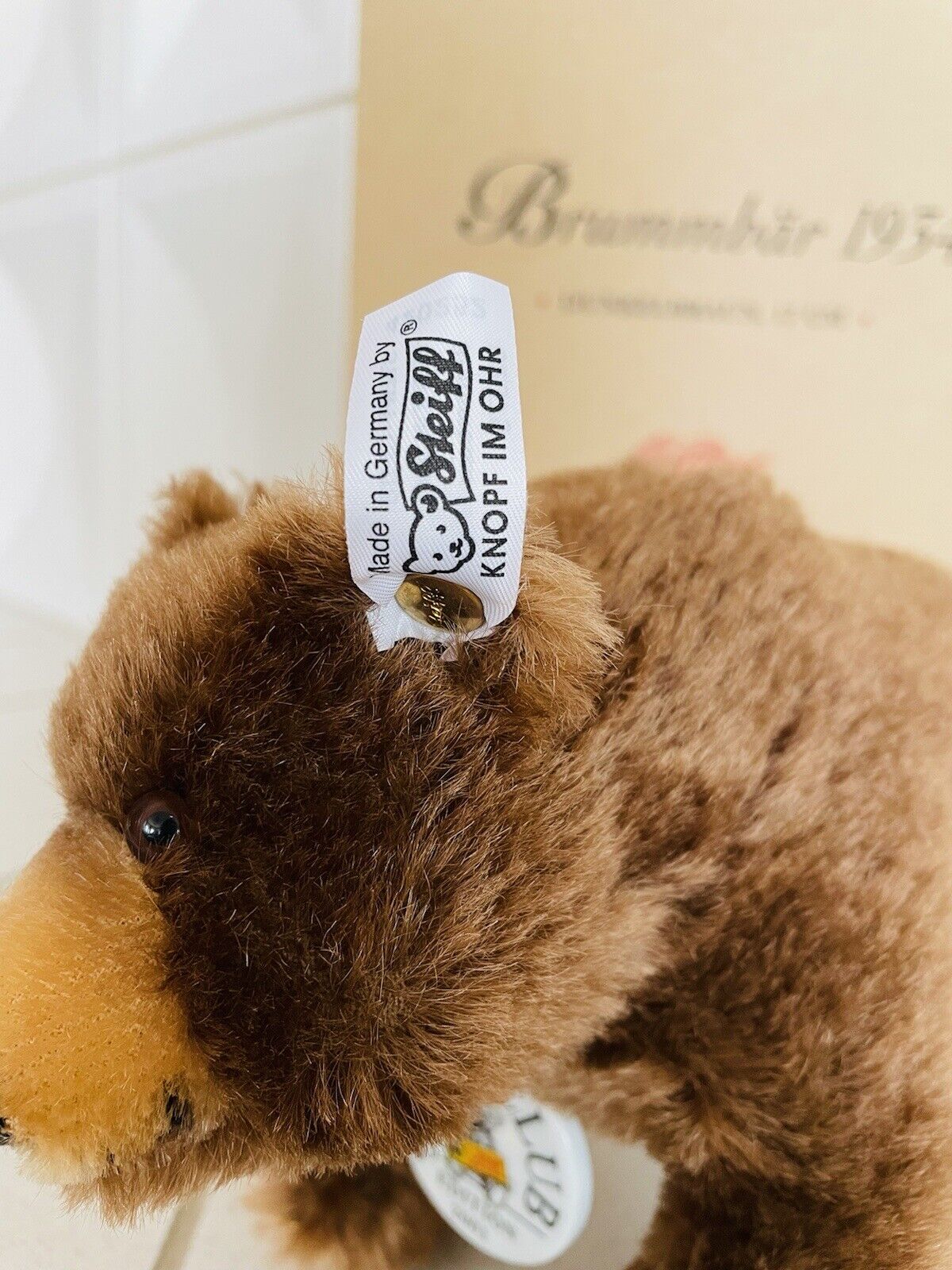 Steiff - Brummbär 1934 17 cm dunkelbraun Club Edition EAN 420252