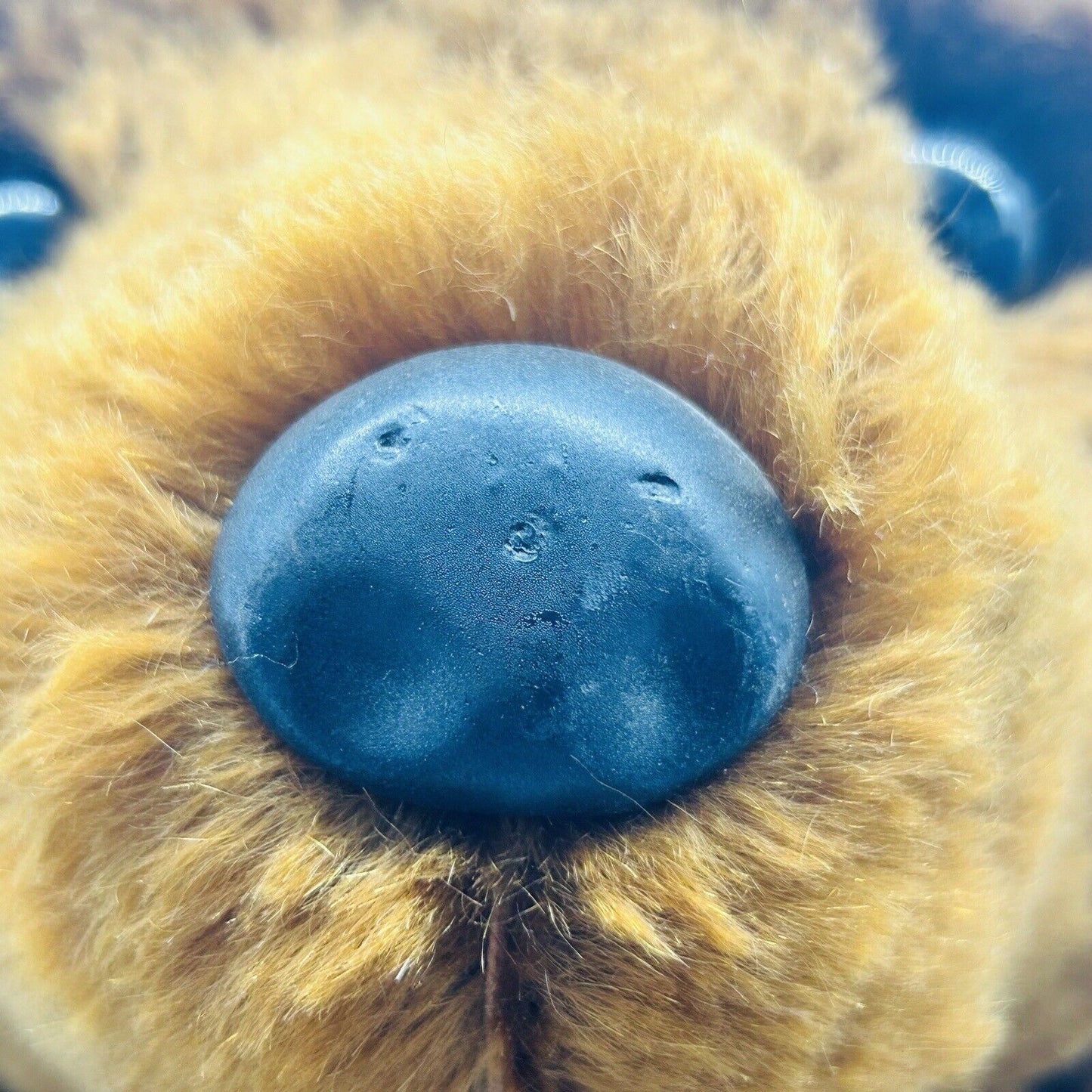 Nr. 101! Steiff Danbury Mint 663123 Teddybär PB 55 Re-Edition limitiert 1000