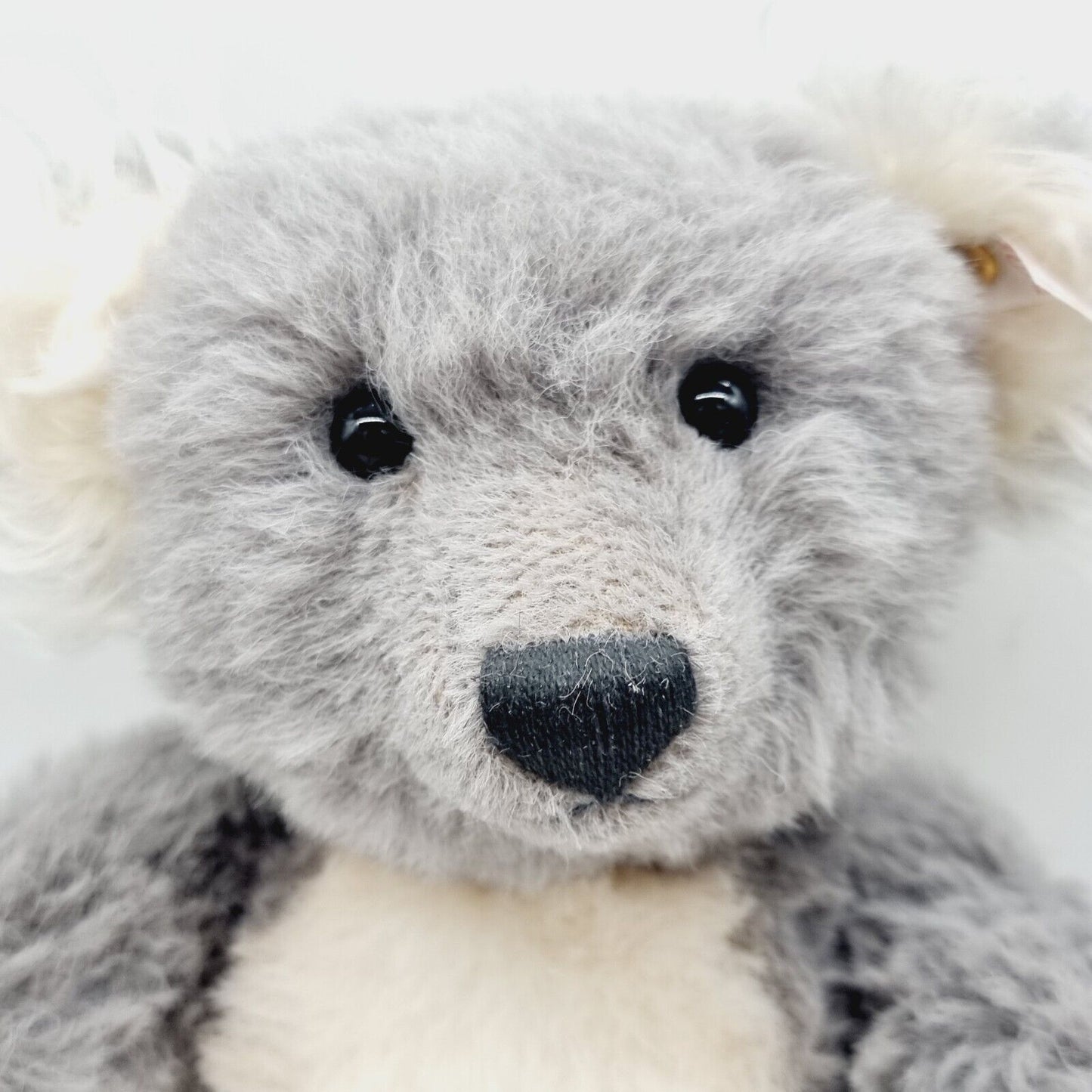 Steiff 661792 Teddybär Koala Ted limitiert 2000 aus 2005 40 cm Alpaca