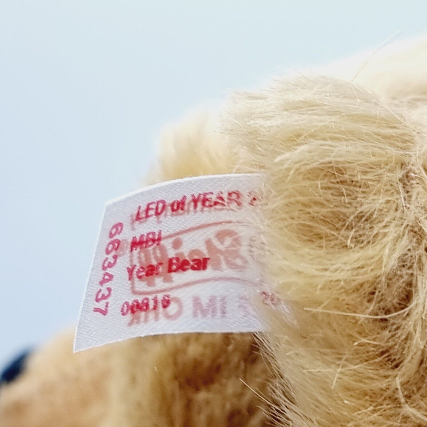 Steiff Danbury Mint 663437 Teddybär Year Bear 2012 limitiert 2012 30cm Mohair