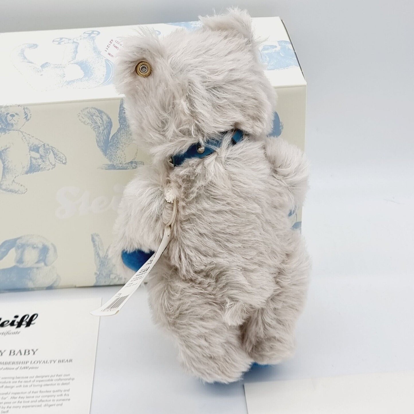 Steiff Tier 421211 Club Mitglied 20 Jahre Bär 25 cm limitierte Auflage Sammler
