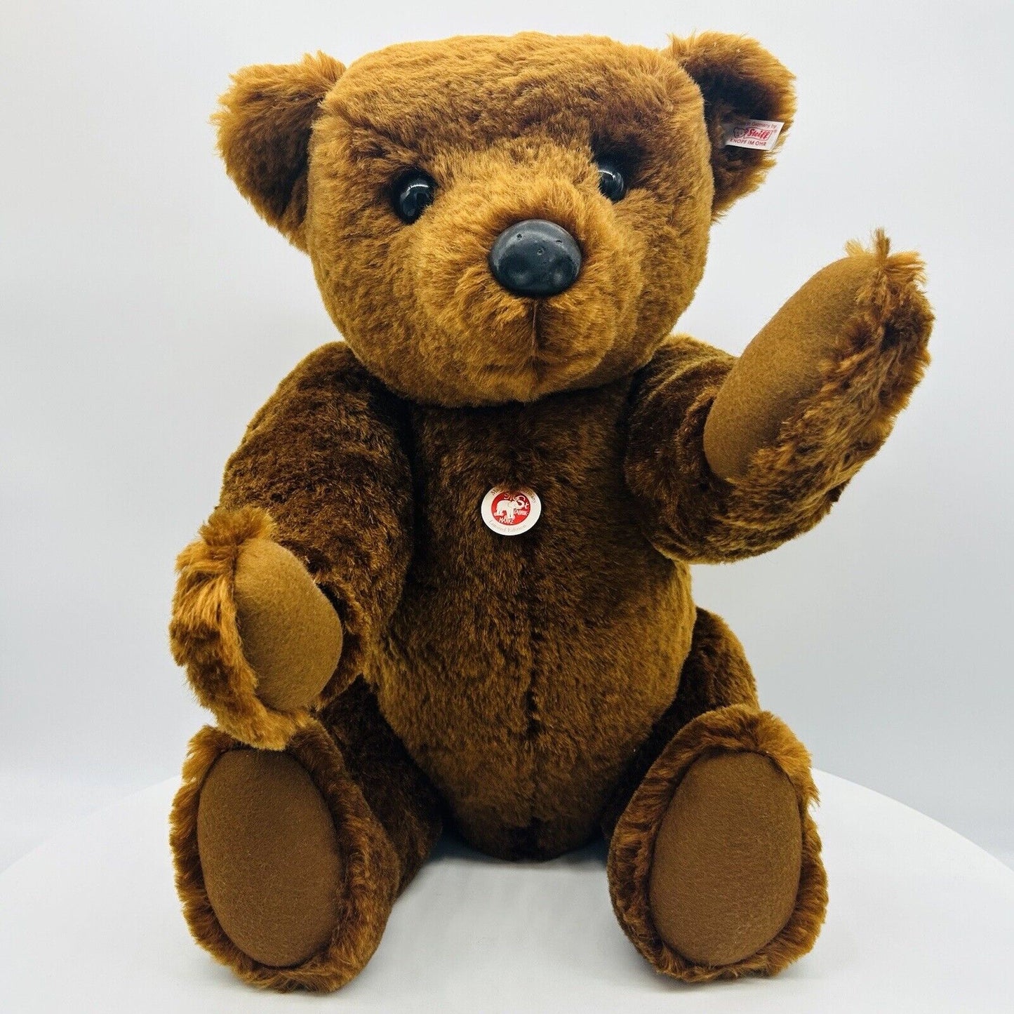 Nr. 101! Steiff Danbury Mint 663123 Teddybär PB 55 Re-Edition limitiert 1000