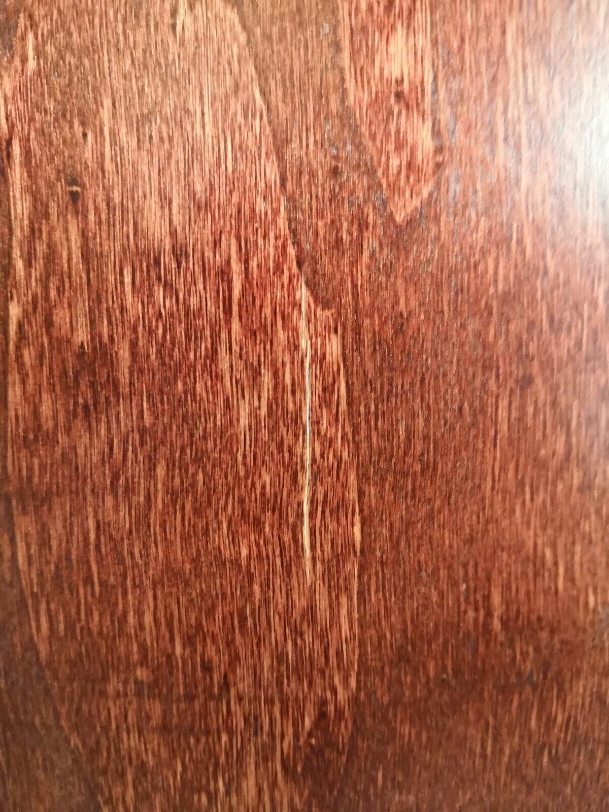 Steiff Bären * UK Baby Bear Set 1999-2003 Limited Edition 16cm*ean662225