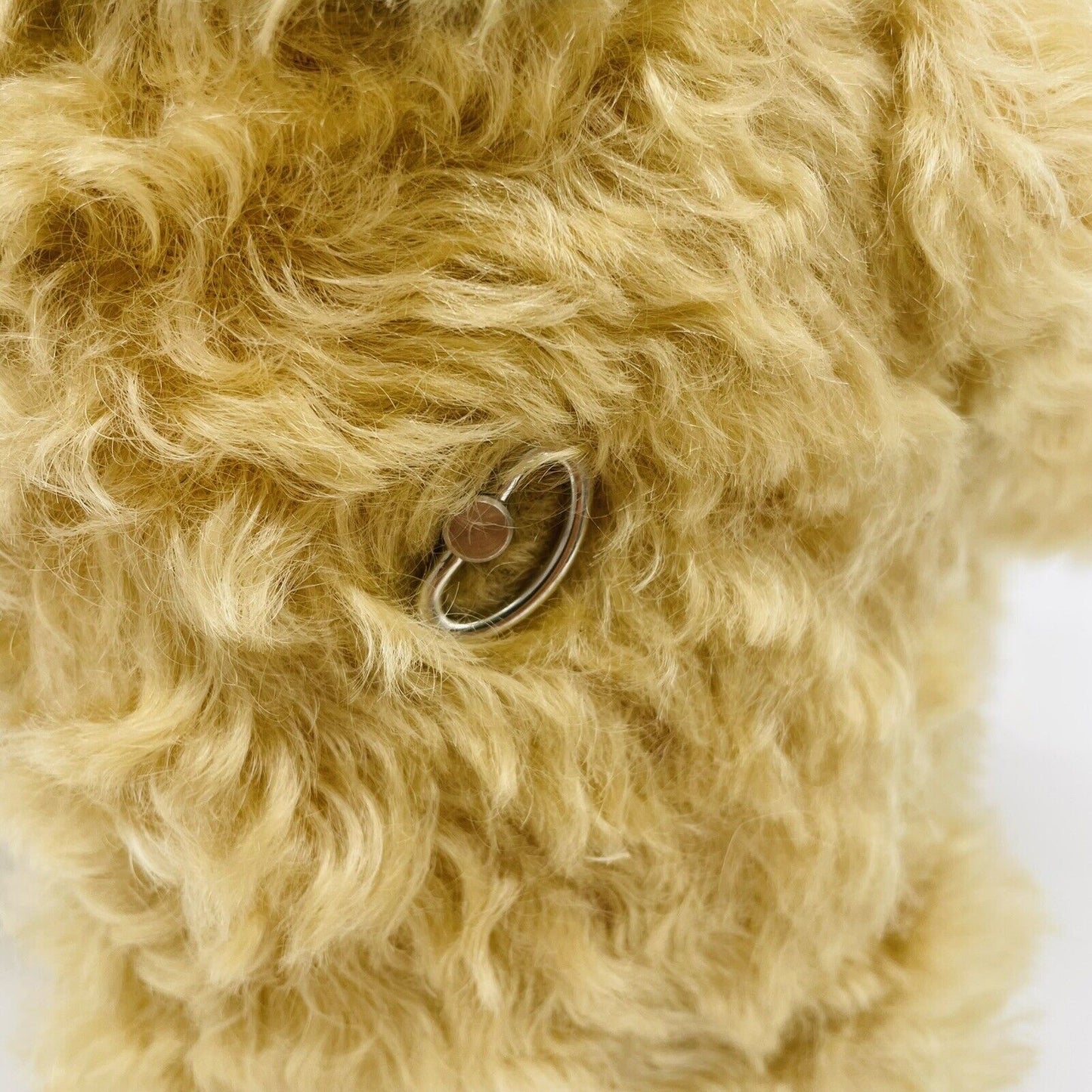 Steiff Teddybär Holland Barrel Orgelspieler 660689 limitiert 1500 aus 2002 33cm