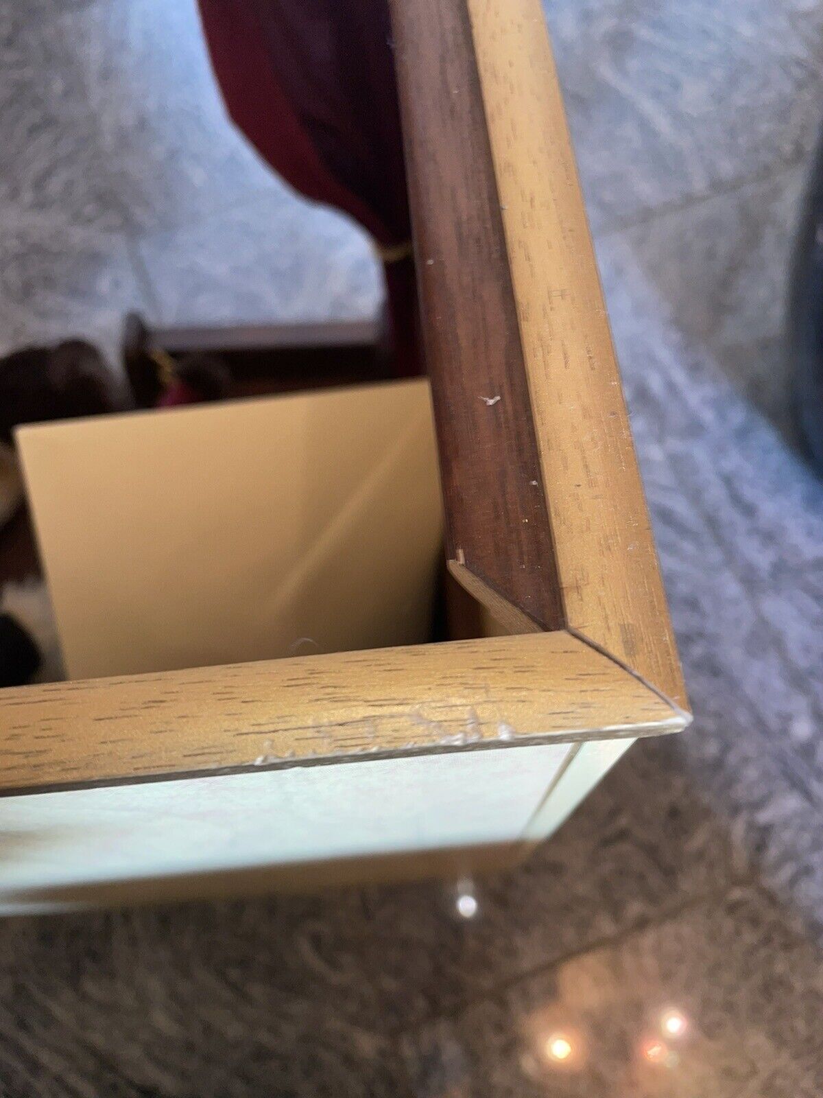 Steiff Millenium Band 038808 mit 5 Teddybären limitiert 2000 Zertifikat Sammler