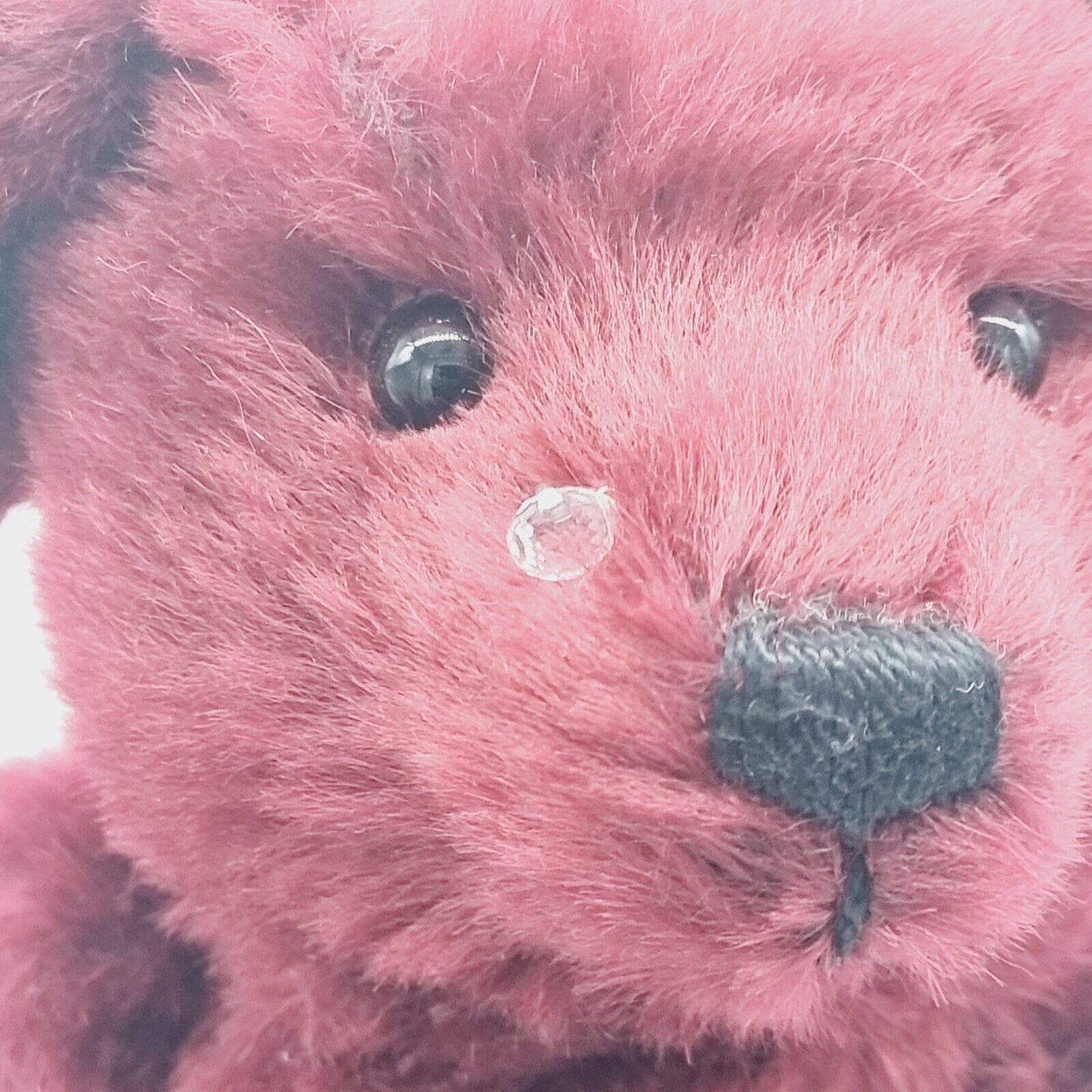 Steiff Teddybär Drew Drop Rose 665844 limitiert 3500 Jahr 1999 North America