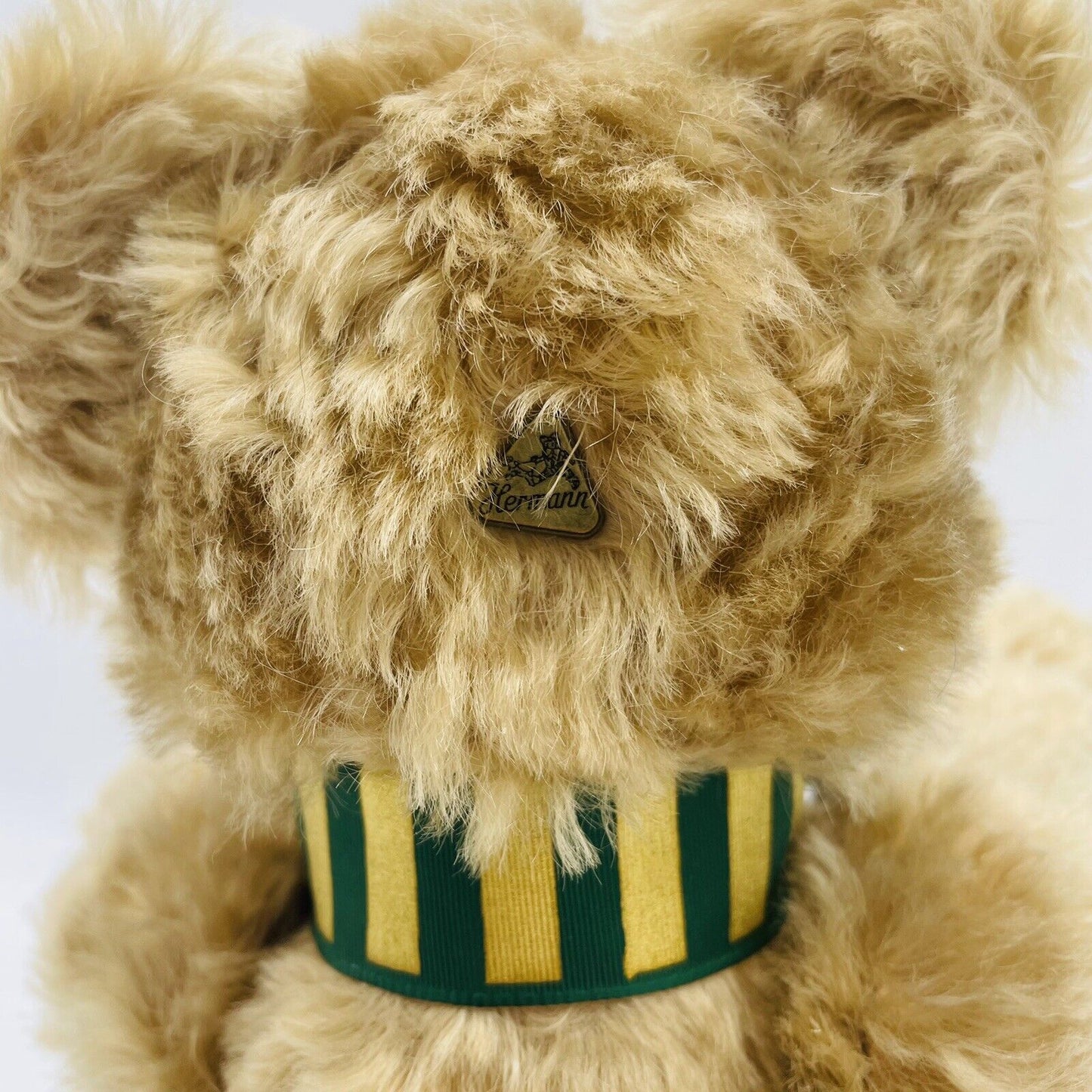 Hermann Coburg Count-down Teddybär Hennef 2000 limitiert auf 252 Tage