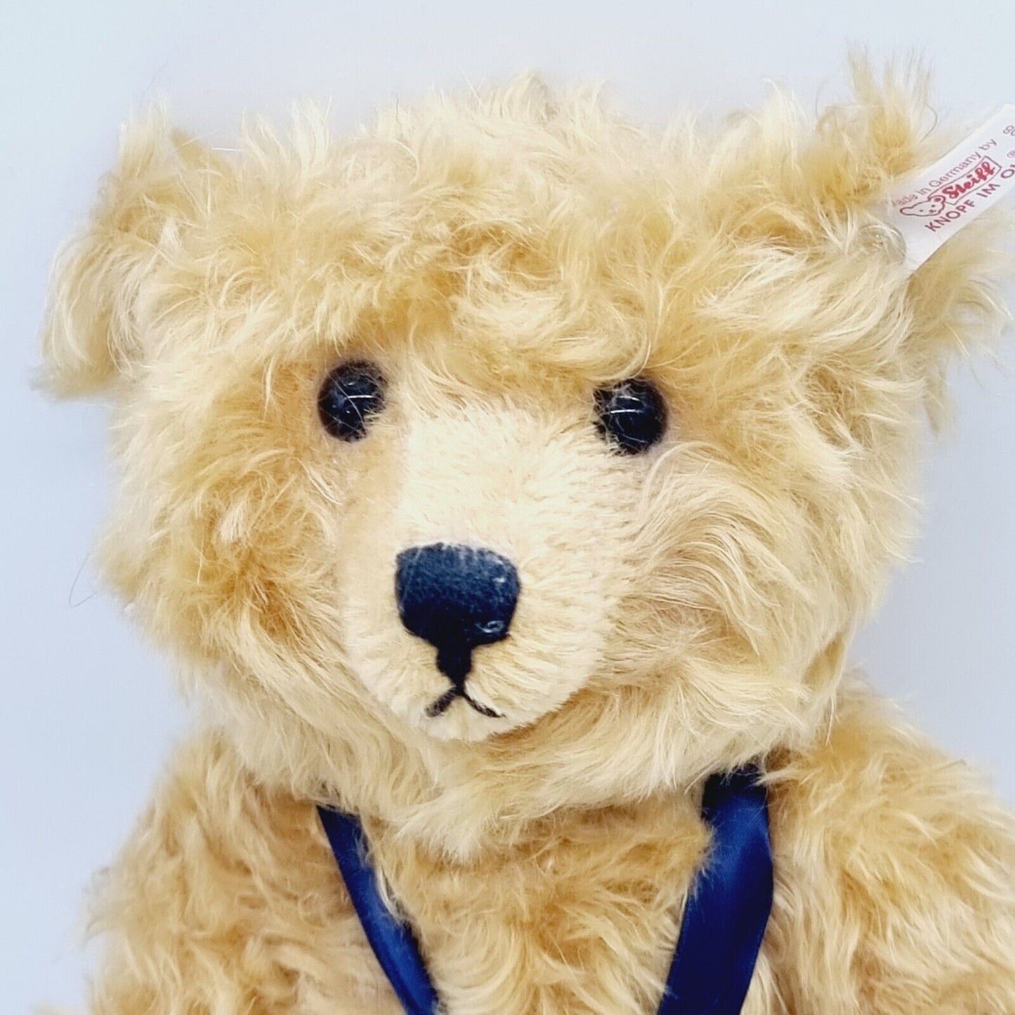 Steiff 420108 Picknick Bär Club Edition 1997/98 34cm limitiert OVP