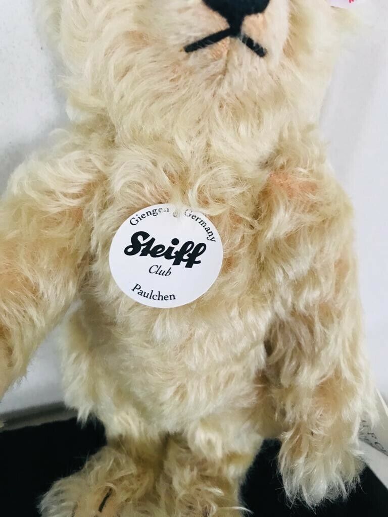 STEIFF Club Event Teddybär Paulchen 21cm 420948 Nr. 00698 Zertifikat Staubbeutel