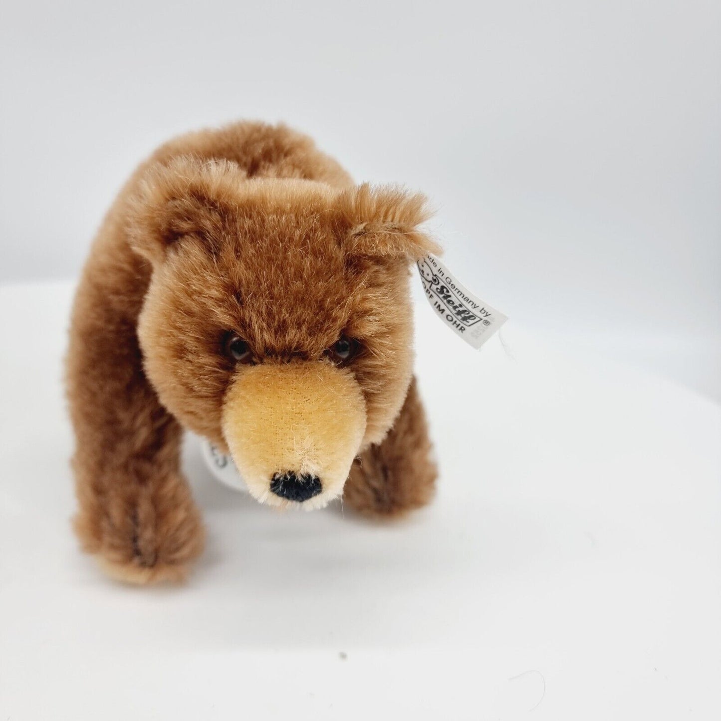 Steiff 420252 Brummbär 17 cm Club Edition 2001 24 cm limitiert
