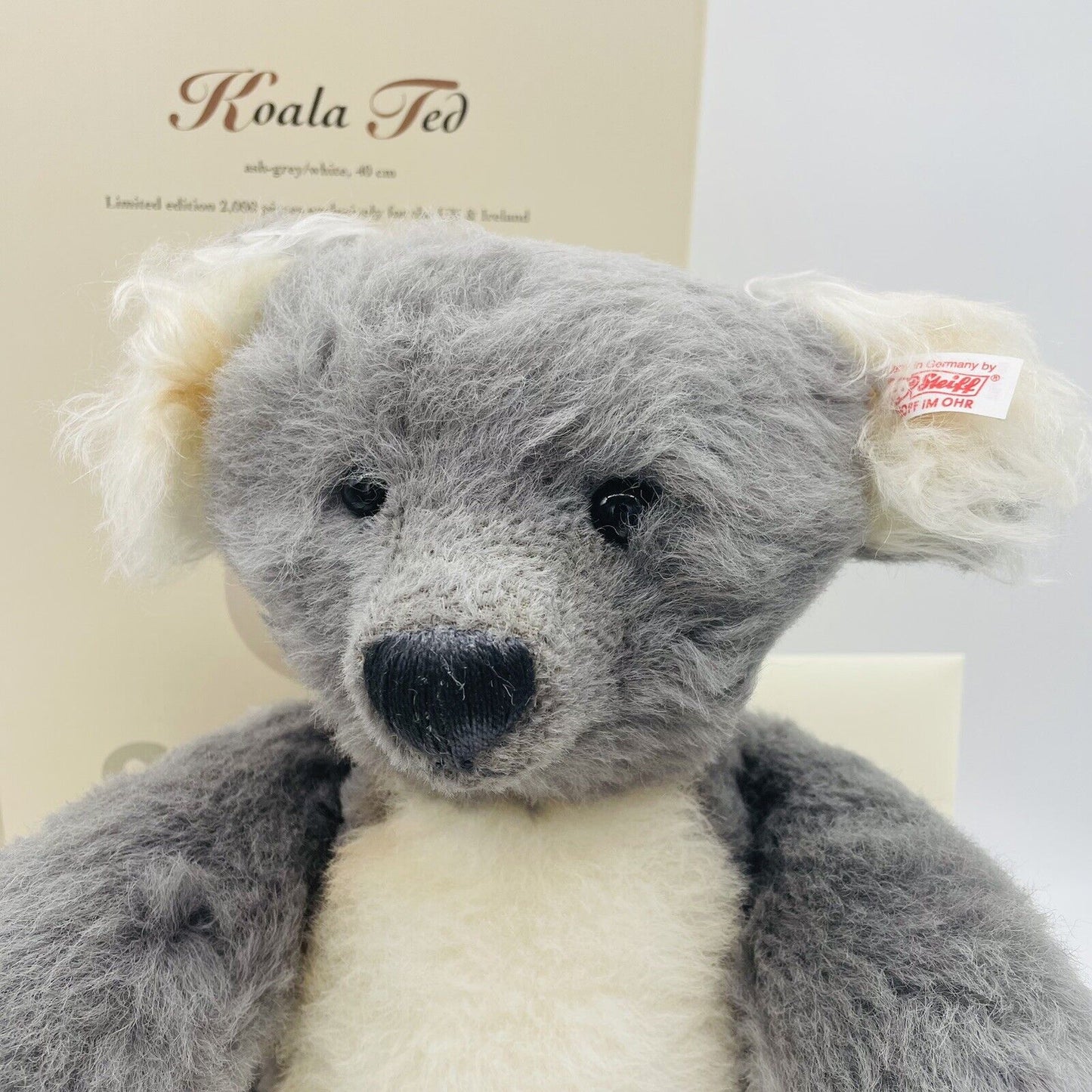 Steiff Teddybär Koala Ted limitiert 2000 aus 2005 UK und Irland exklusiv 40cm