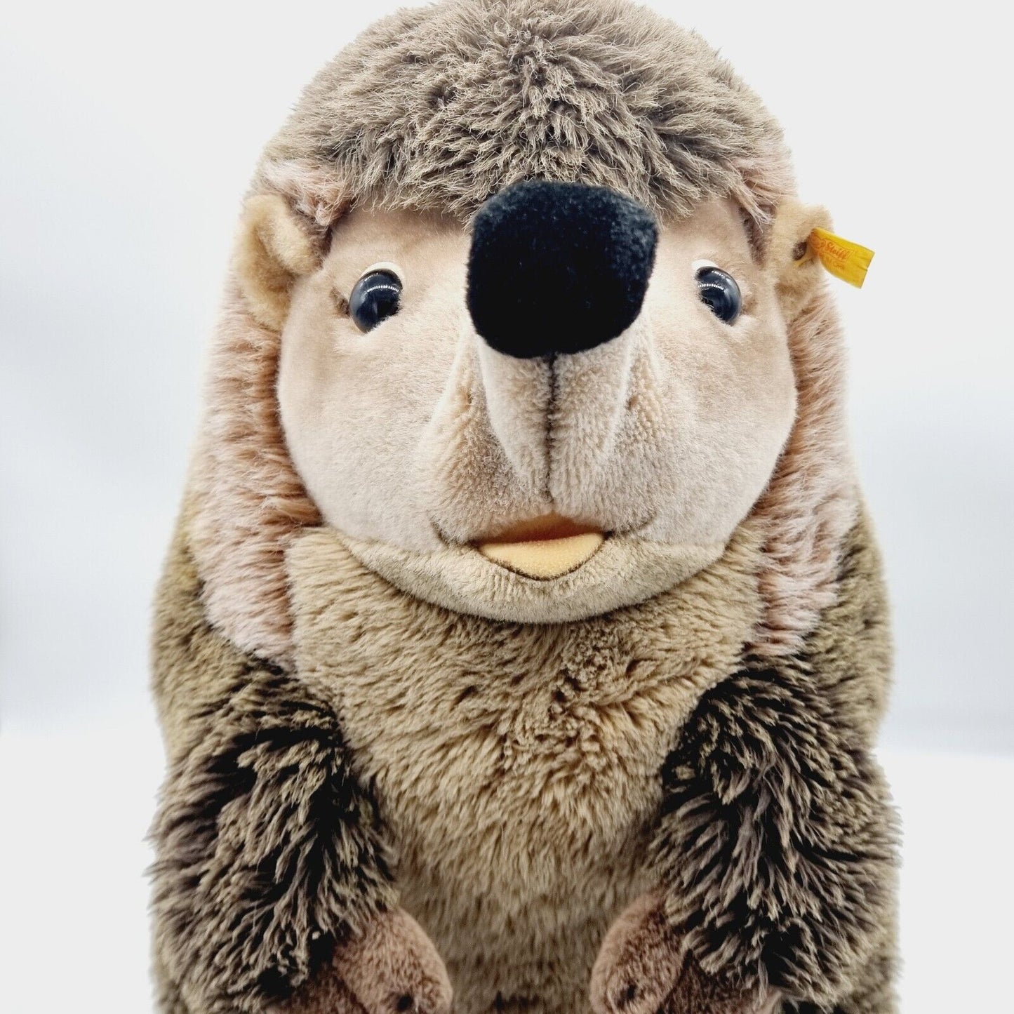 Steiff Igel Joggi Studio-Größe 50 cm EAN 1677/50 Webpelz 070778 Knopf Fahne