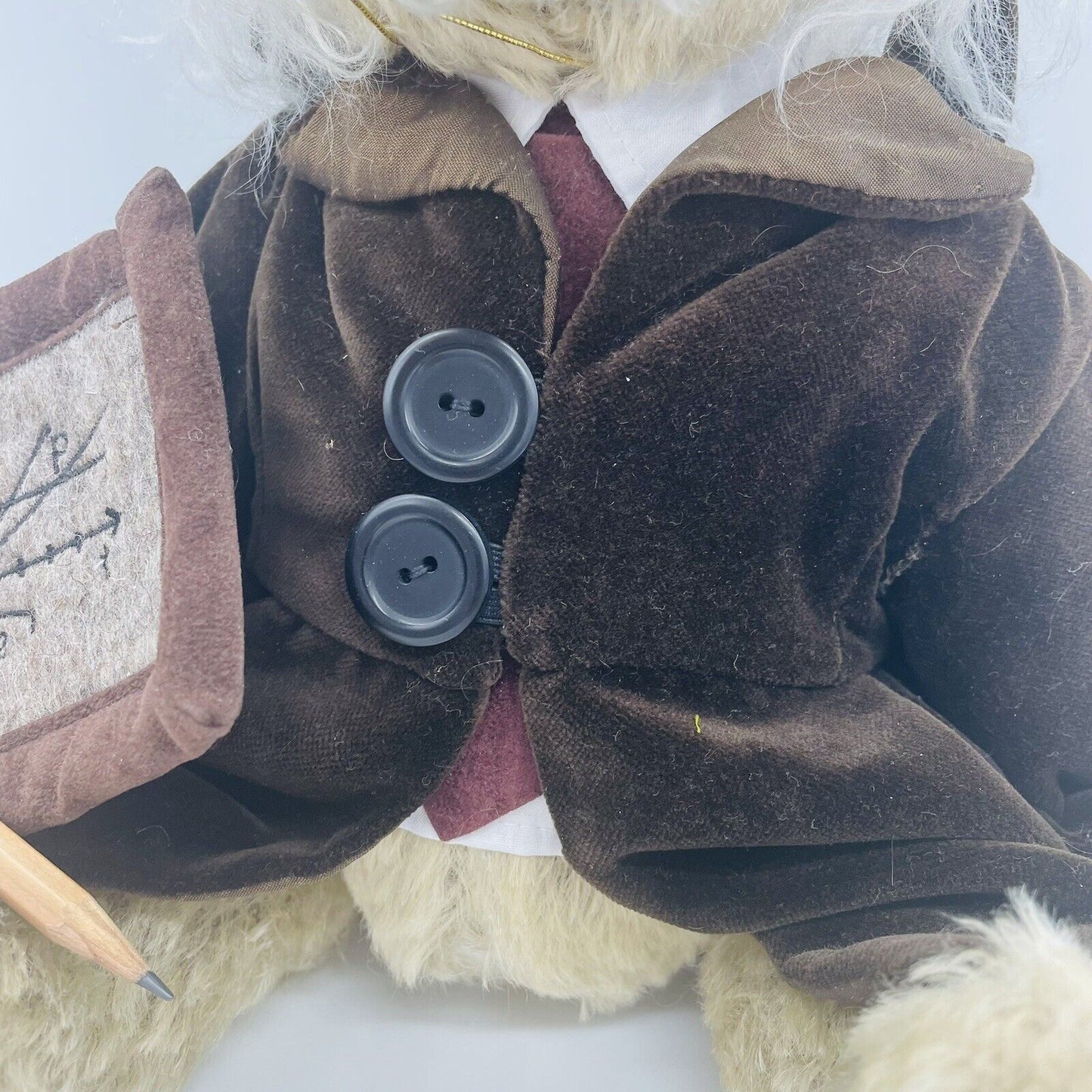 Hermann Coburg Teddybär Albert Einstein The Brain limitiert 500