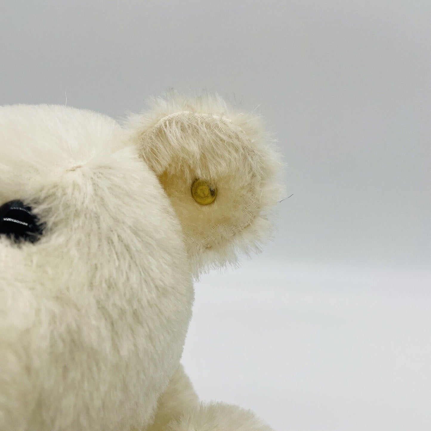 Steiff Set bestehend aus zwei Eisbären Mohair mit Brustschild ohne Fahne