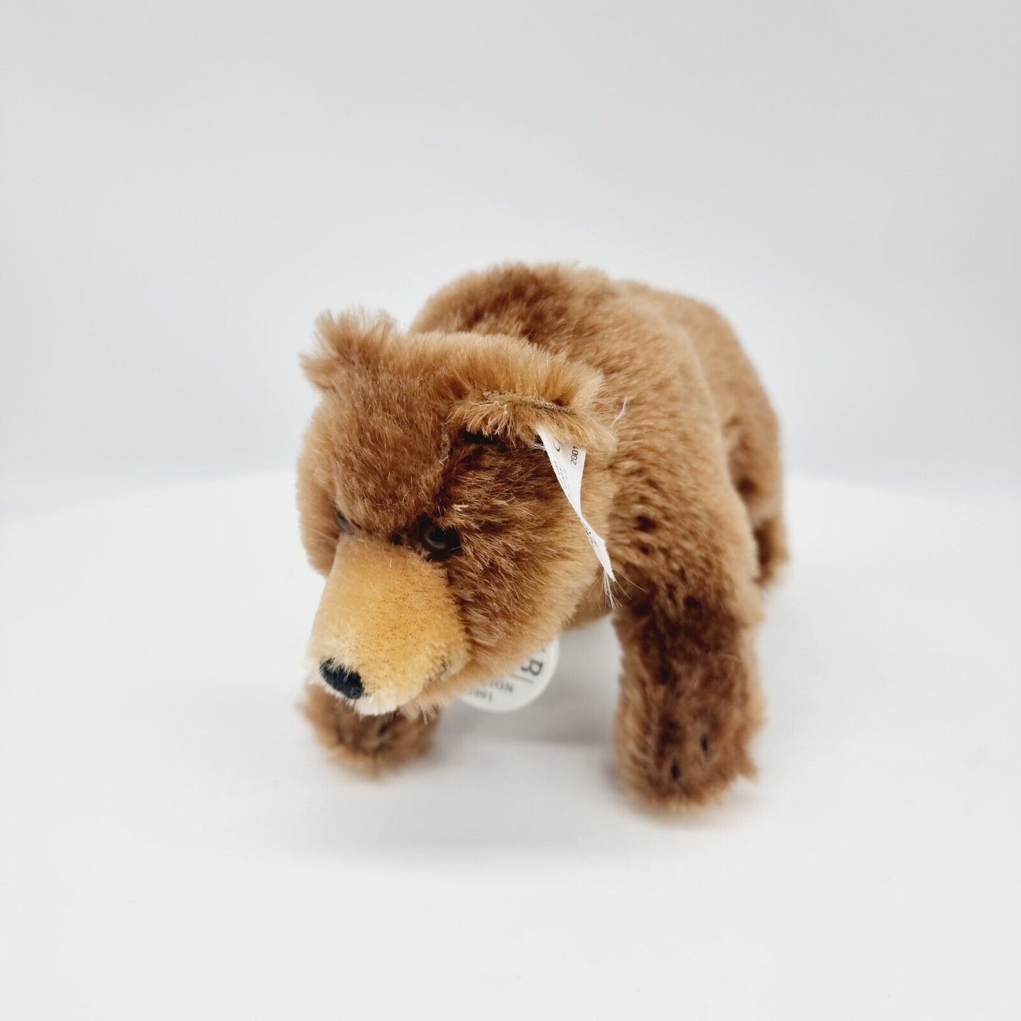 Steiff 420252 Brummbär 17 cm Club Edition 2001 24 cm limitiert