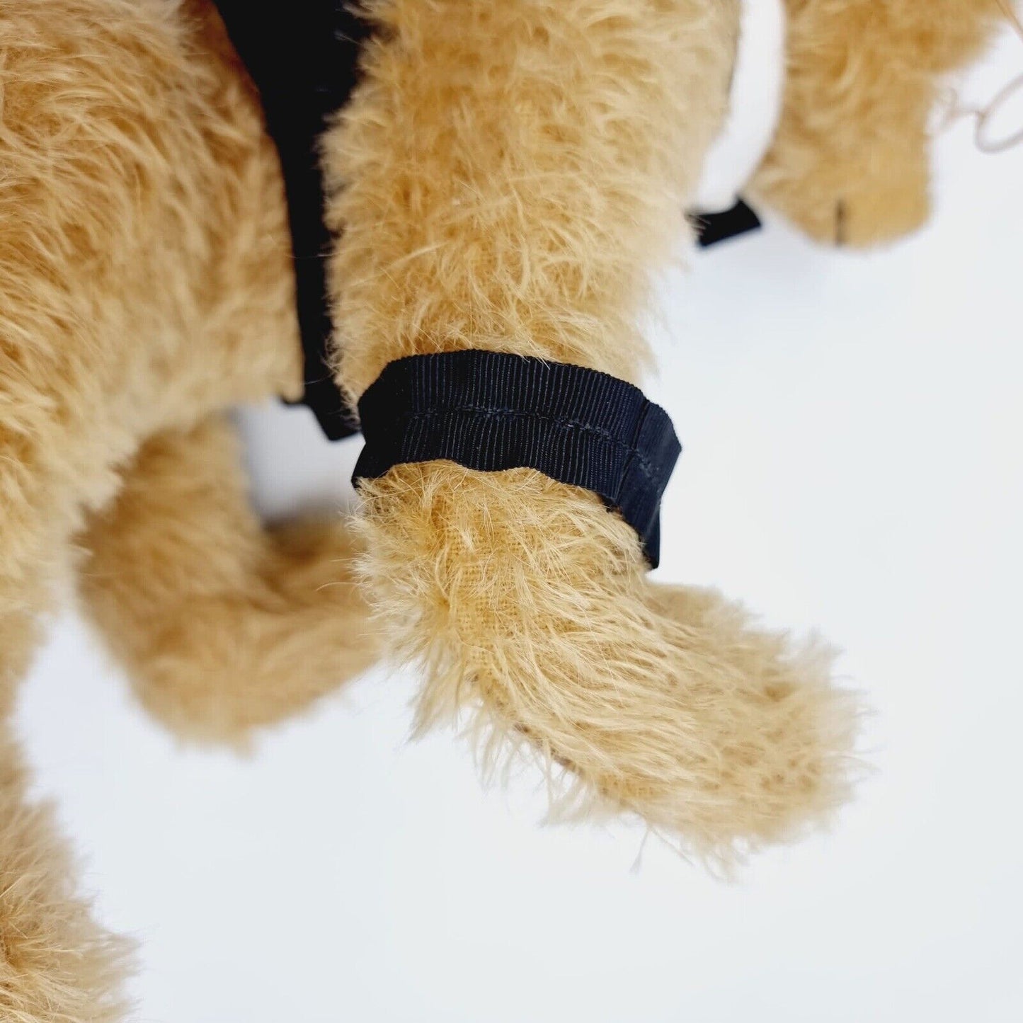 Steiff James C. Penny 666346, limitiert, Teddybär