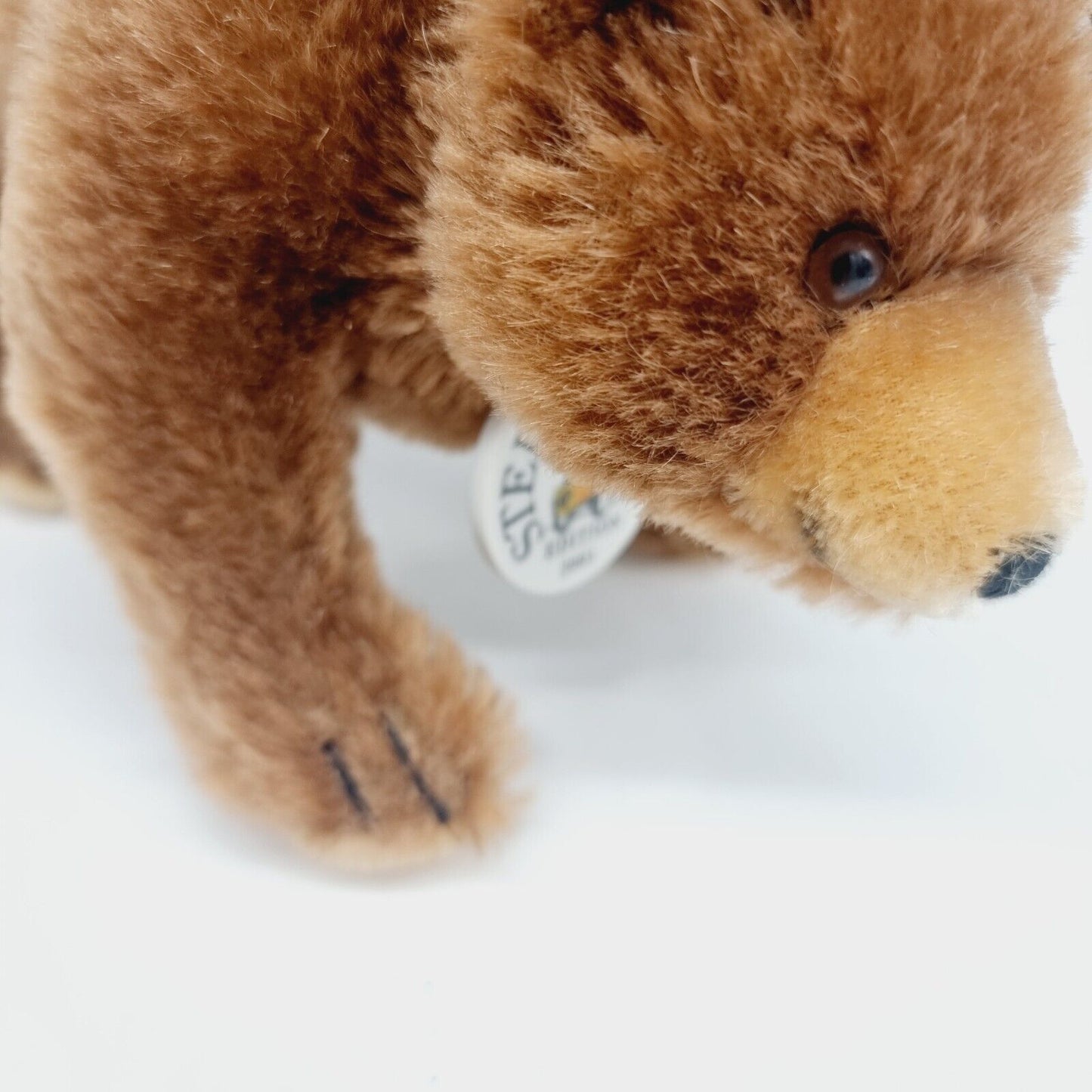 Steiff 420252 Brummbär 17 cm Club Edition 2001 24 cm limitiert