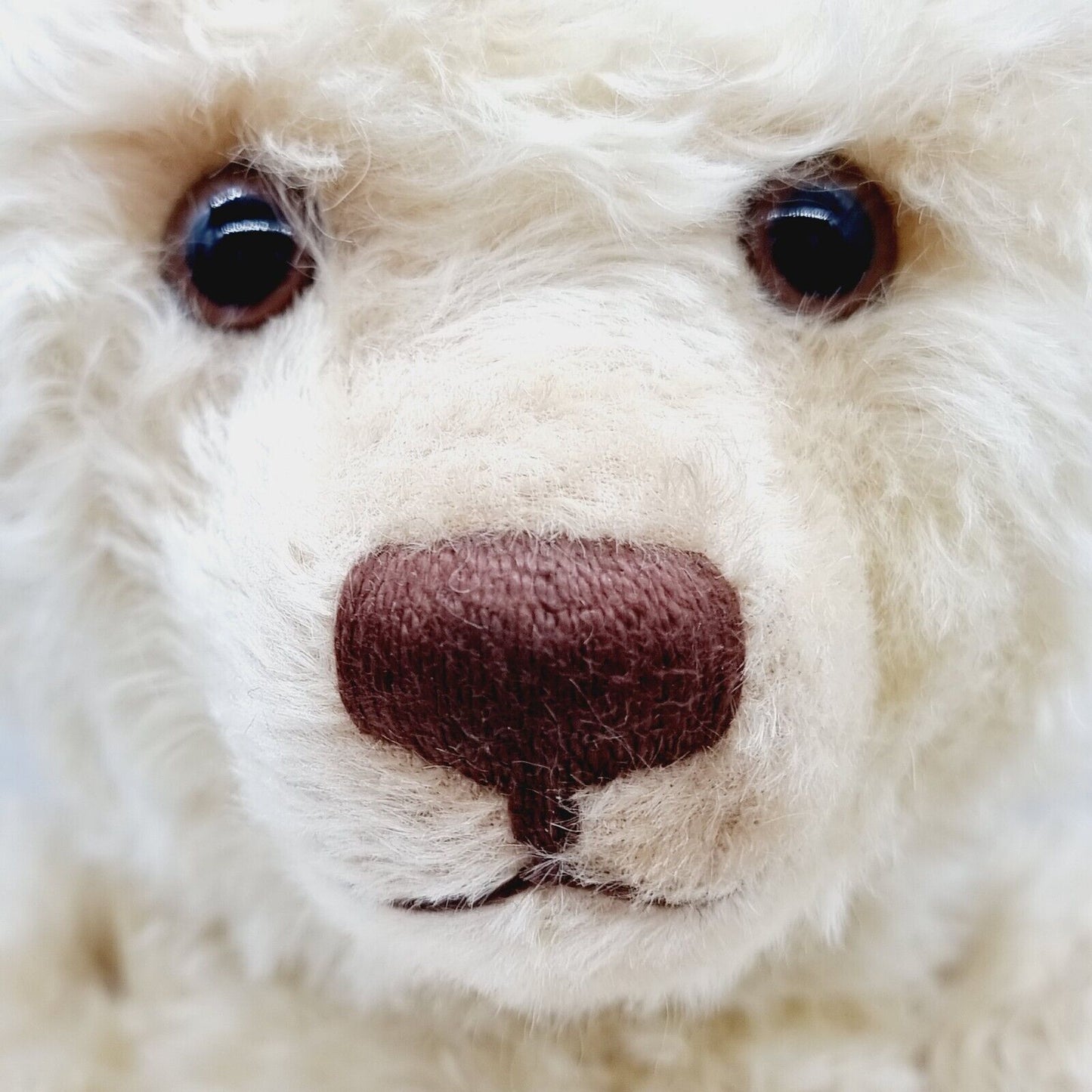 Steiff Teddybär Sunny 035746 limitiert 1000 aus 2012 60cm Mohair