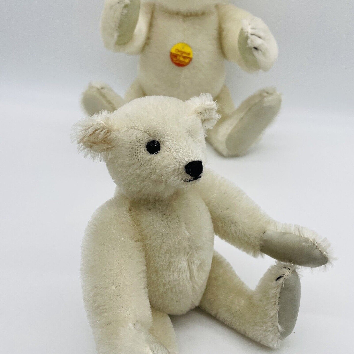 Steiff Set bestehend aus zwei Eisbären Mohair mit Brustschild ohne Fahne